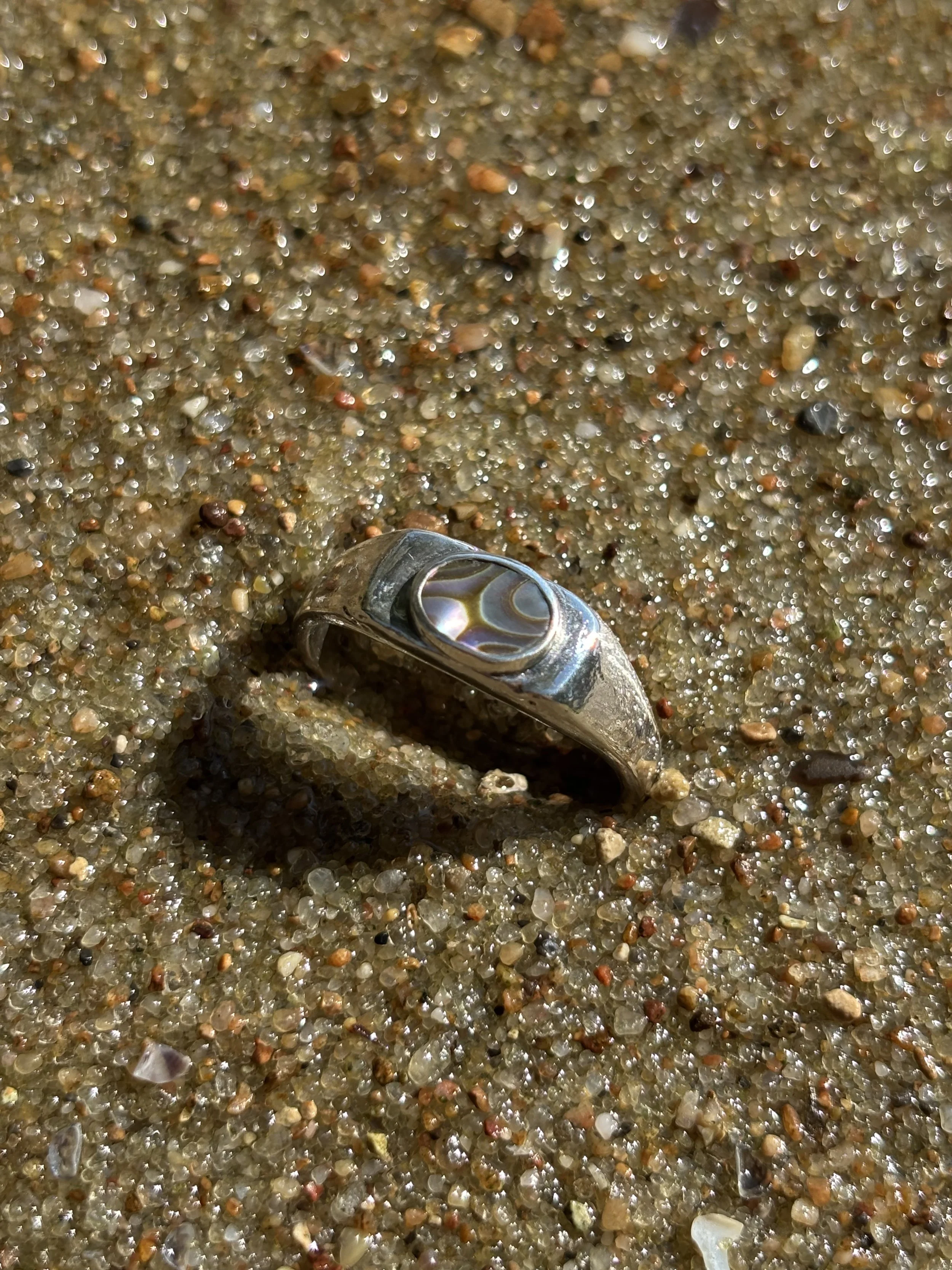 99 abalone.jpg