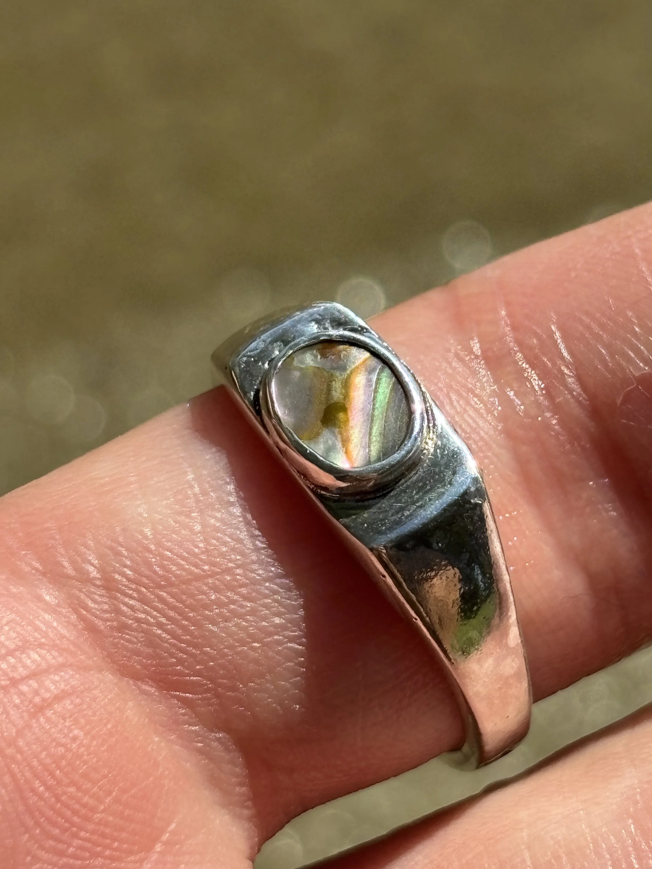 44 abalone.jpg