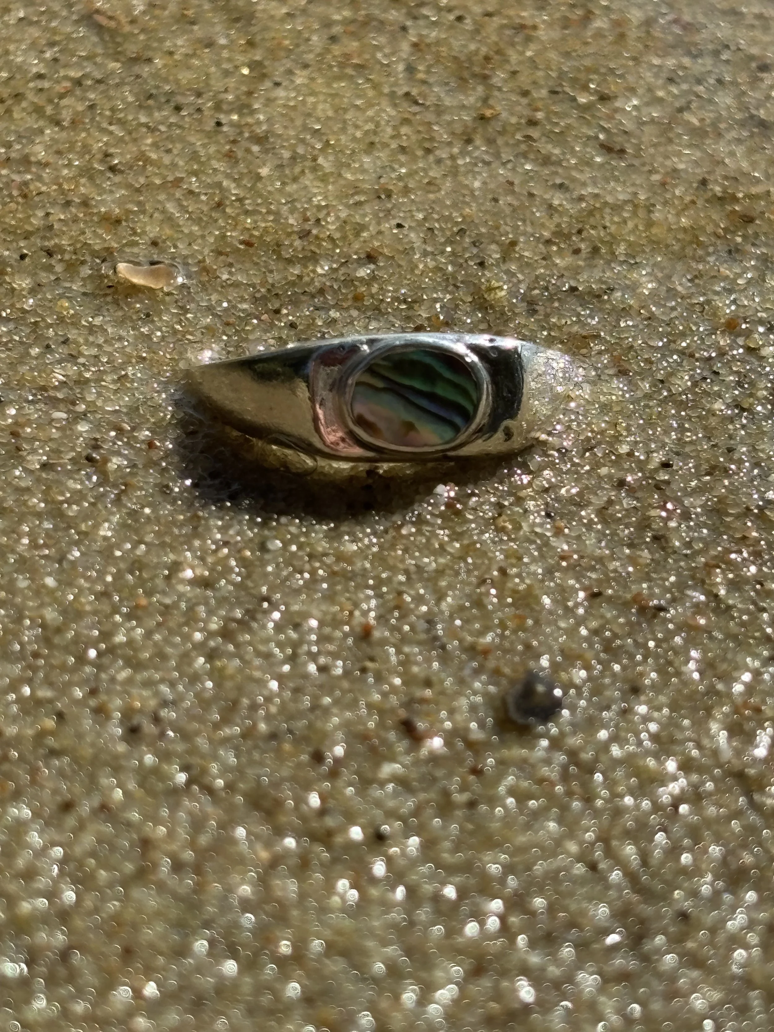 3 abalone.jpg