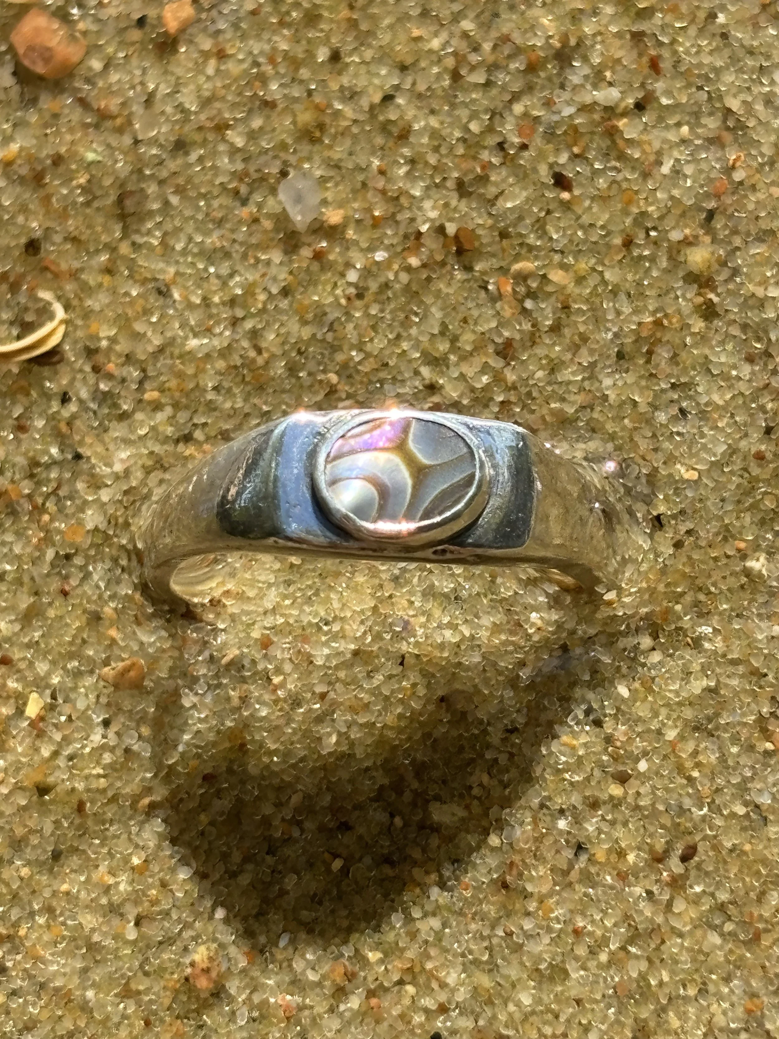 88 abalone.jpg