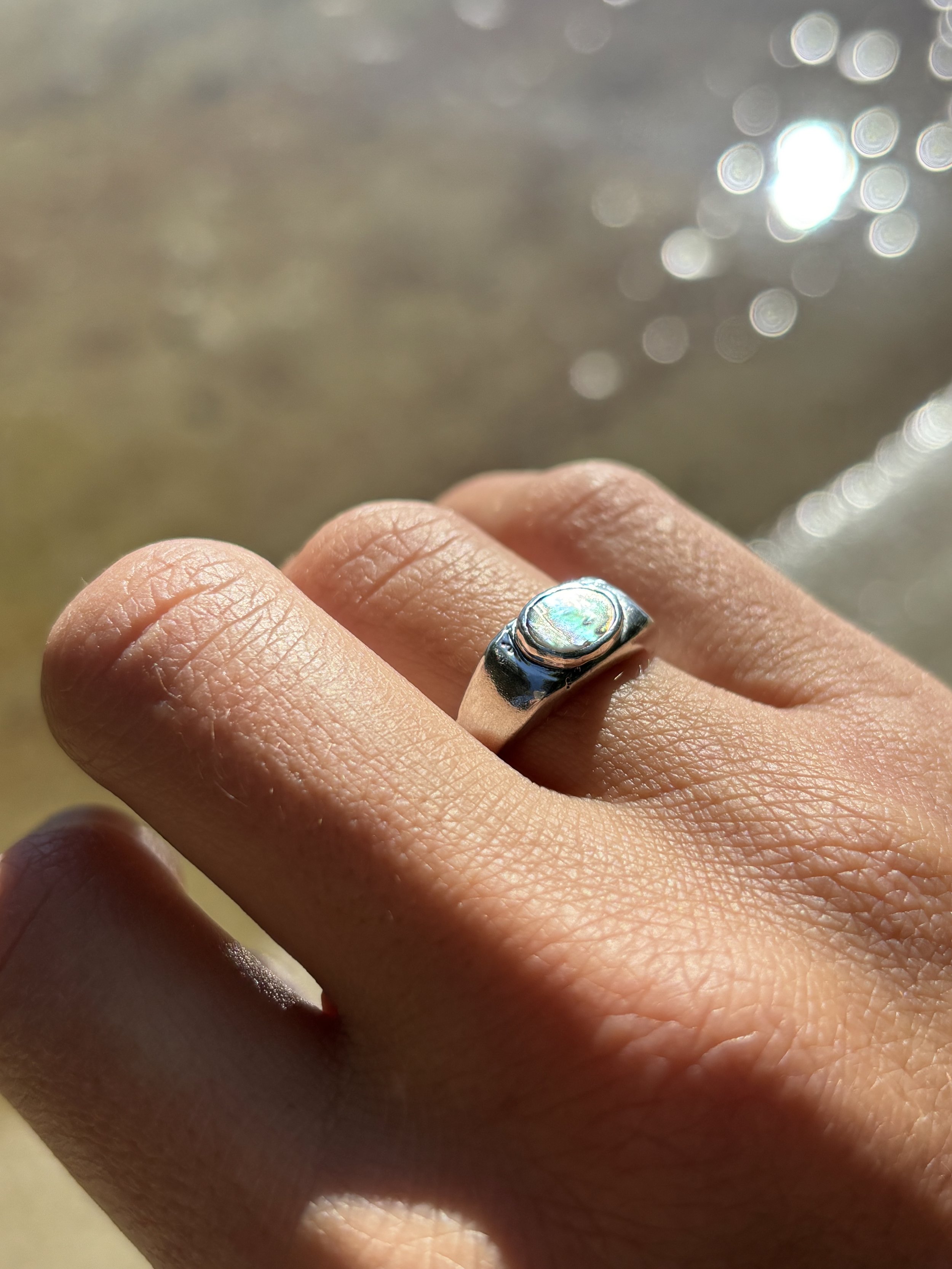 abalone 1.jpg