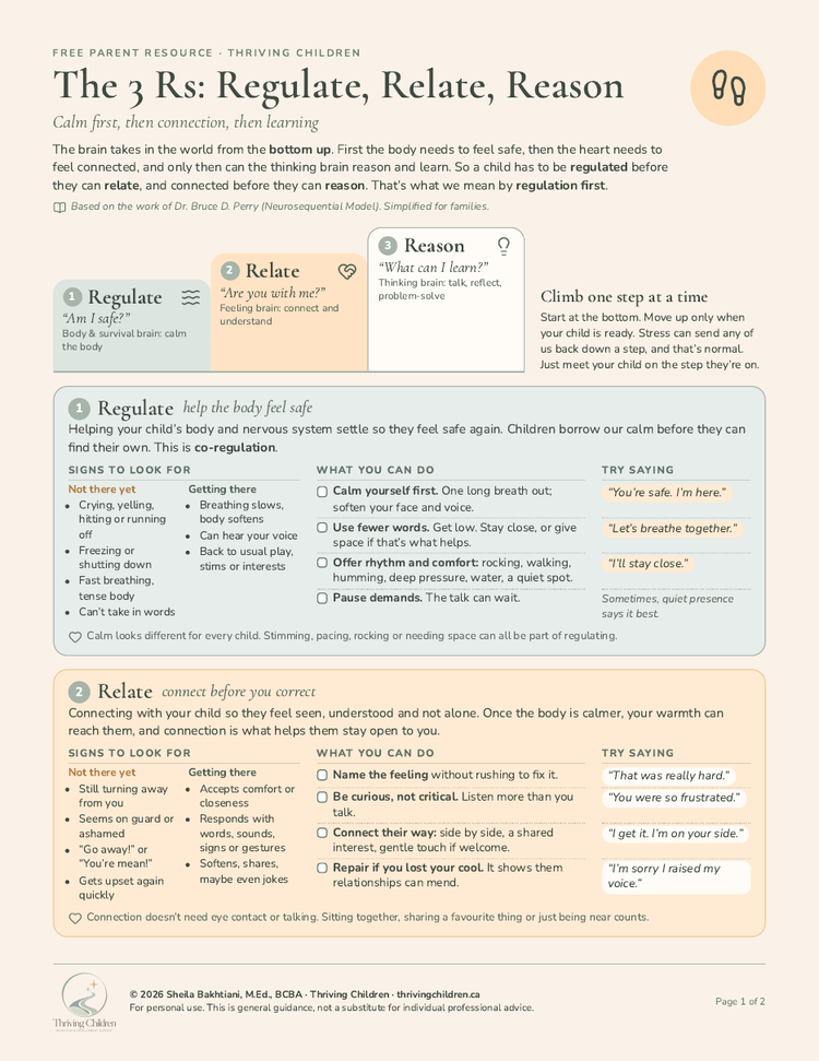 The 3 Rs: Regulate, Relate, Reason printable preview