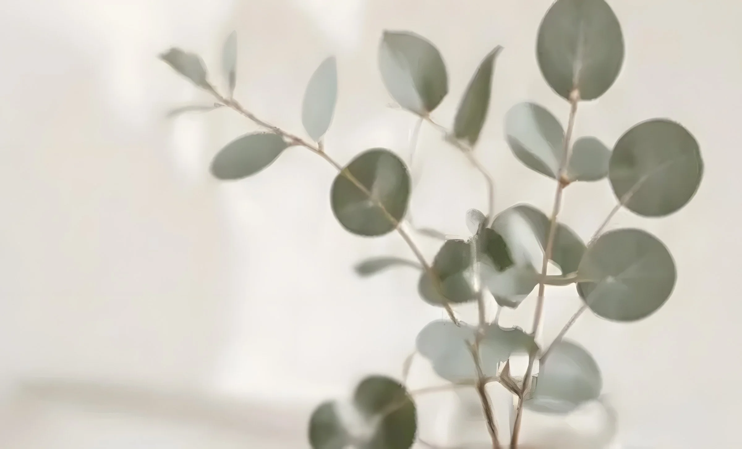 Leaves in a vase