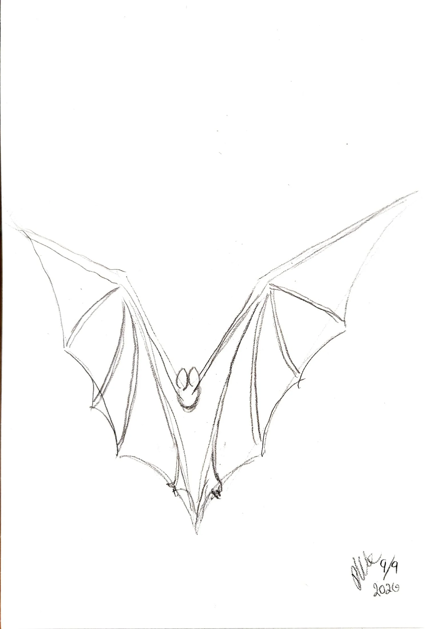 Sketch of a bat with outstretched wings, signed by the artist and dated 9/9/2019.