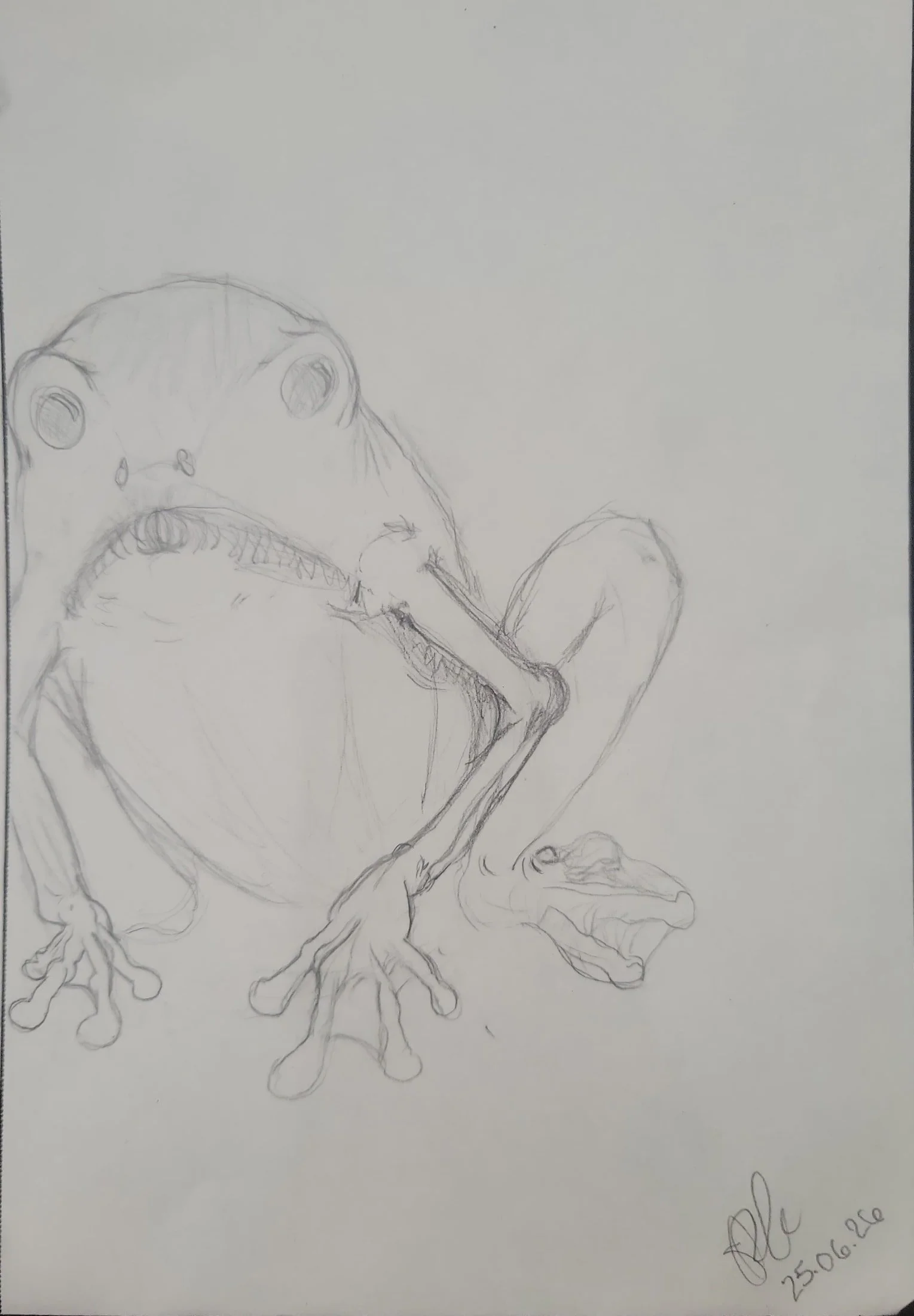 A pencil sketch of a dinosaur, possibly a theropod, with detailed features including sharp teeth, claws, and suit over the eye sockets, on a plain white background.