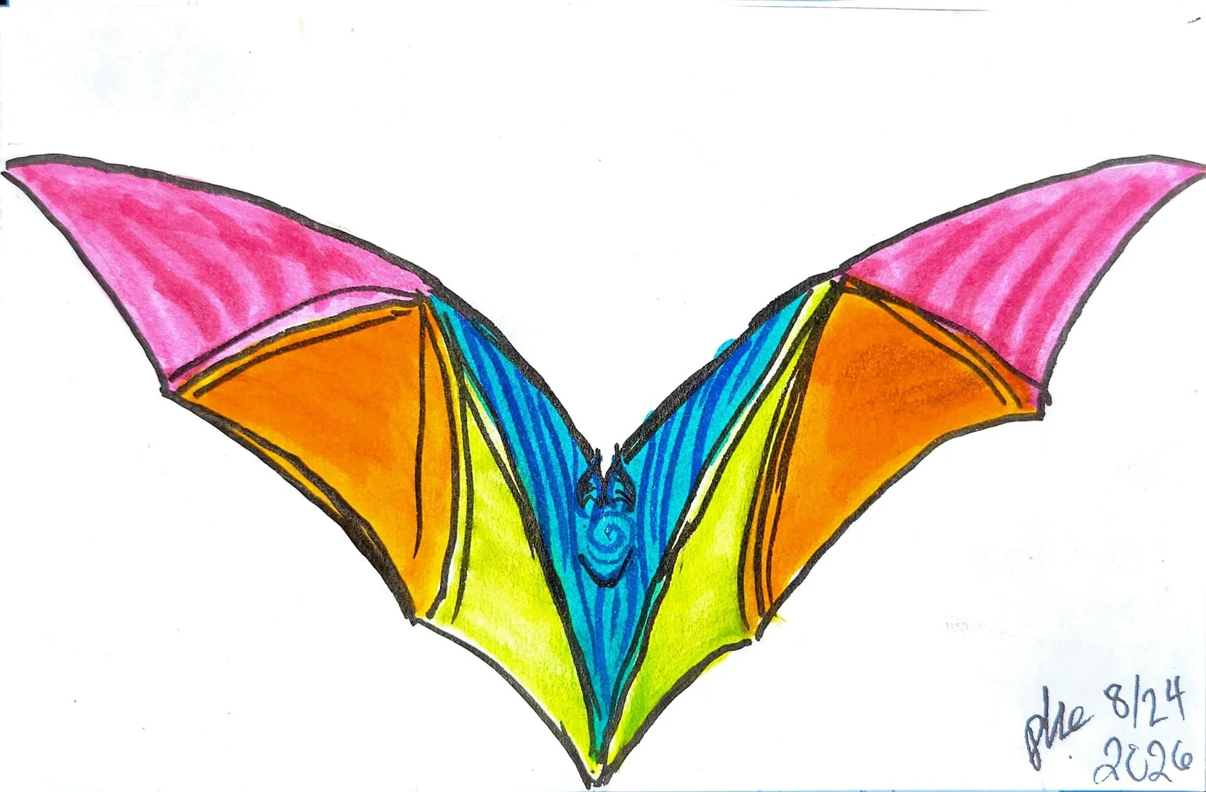 Colorful drawing of a butterfly with wings divided into sections colored pink, orange, yellow, green, blue, and black outlines.