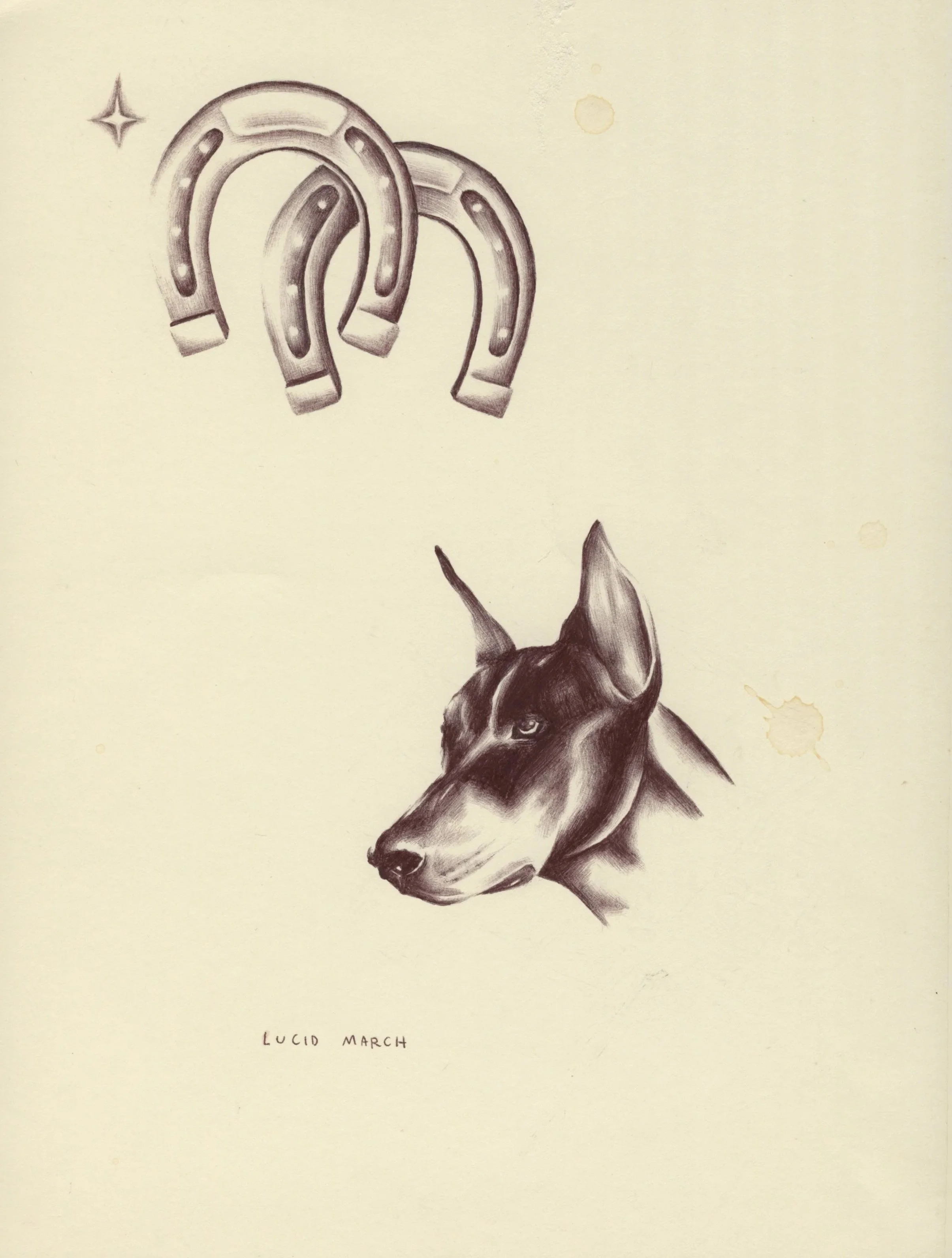 dog+horsehoe.jpg