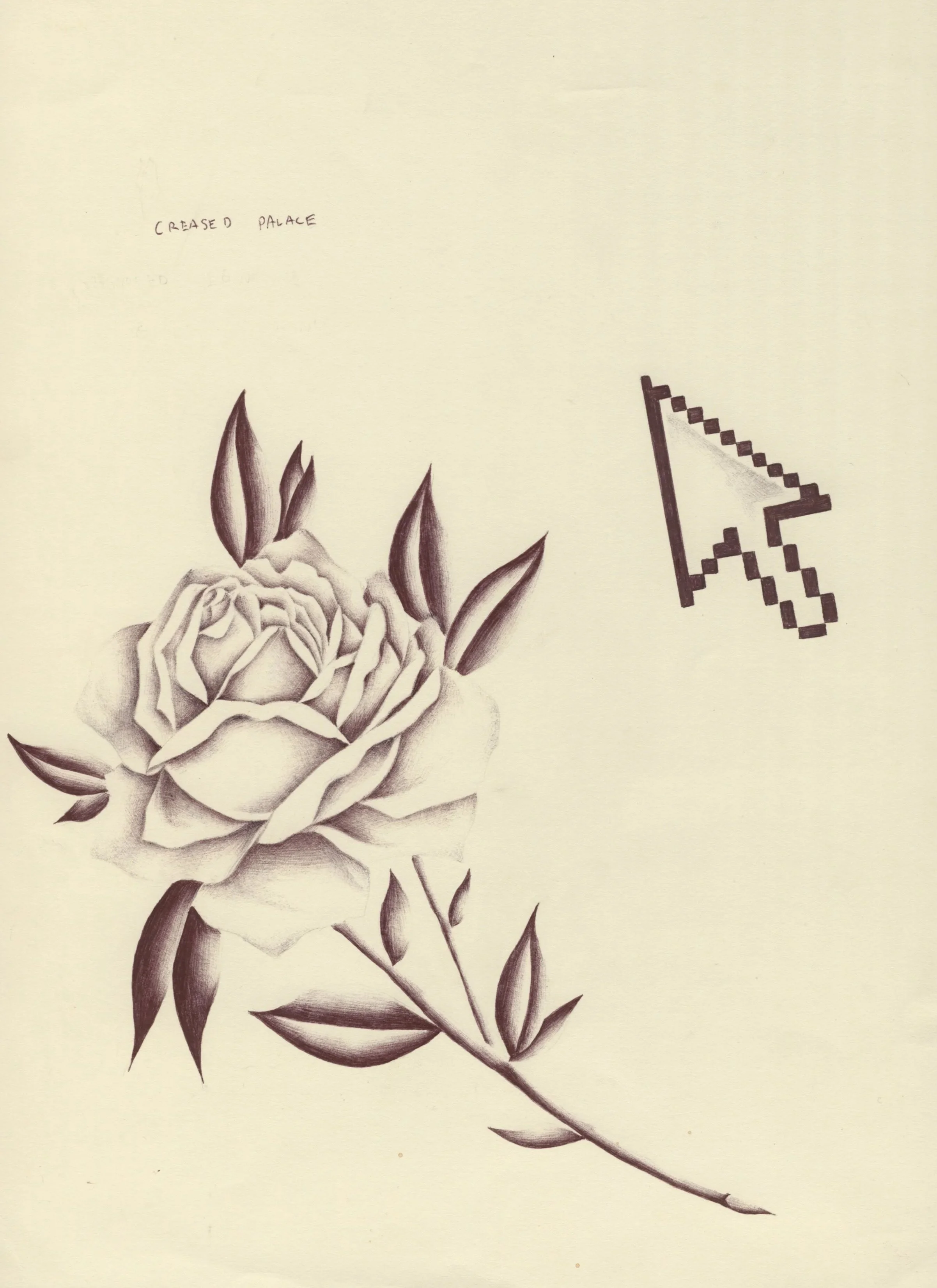 rose+moue_1.jpg