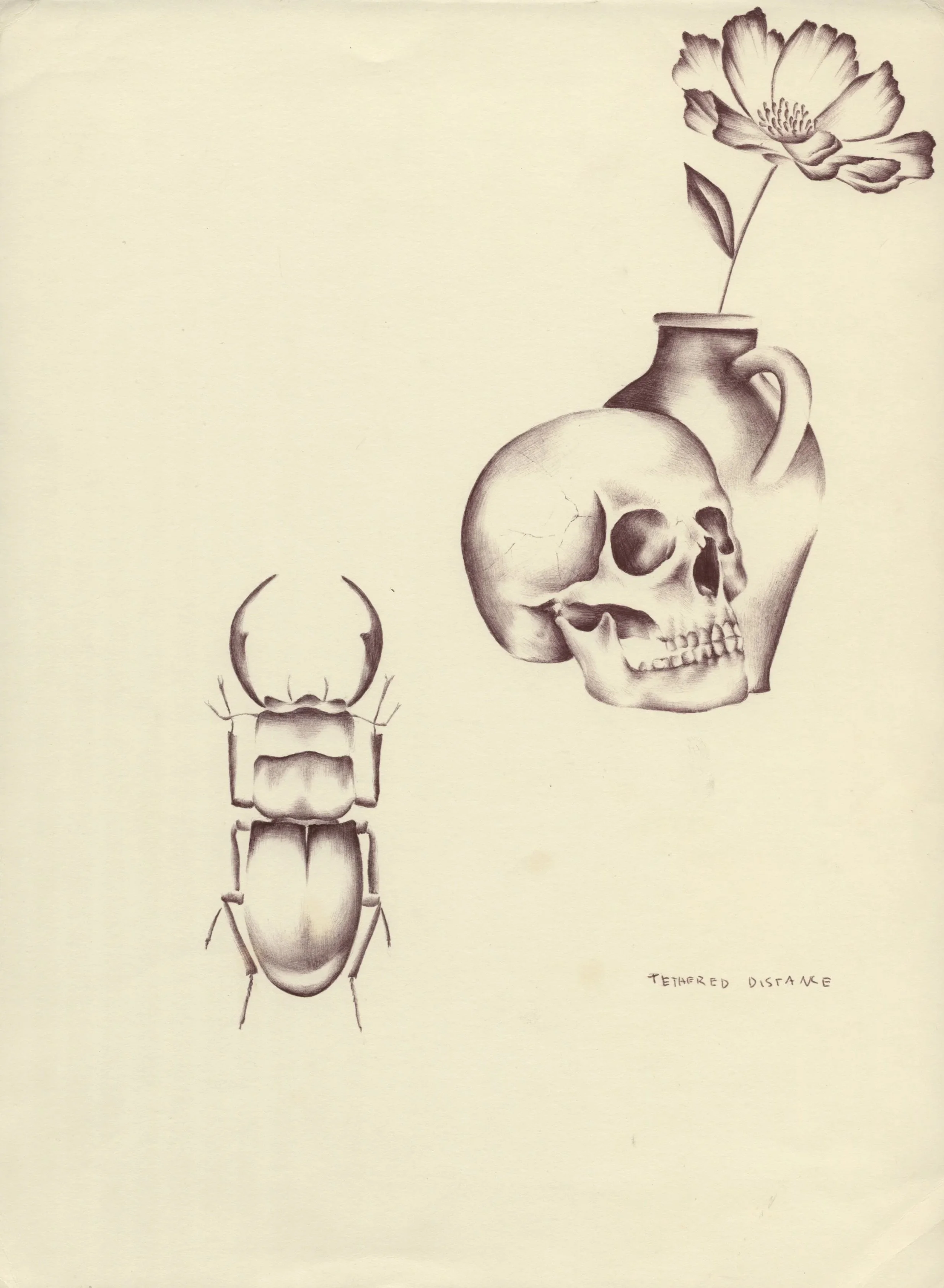skull.jpg