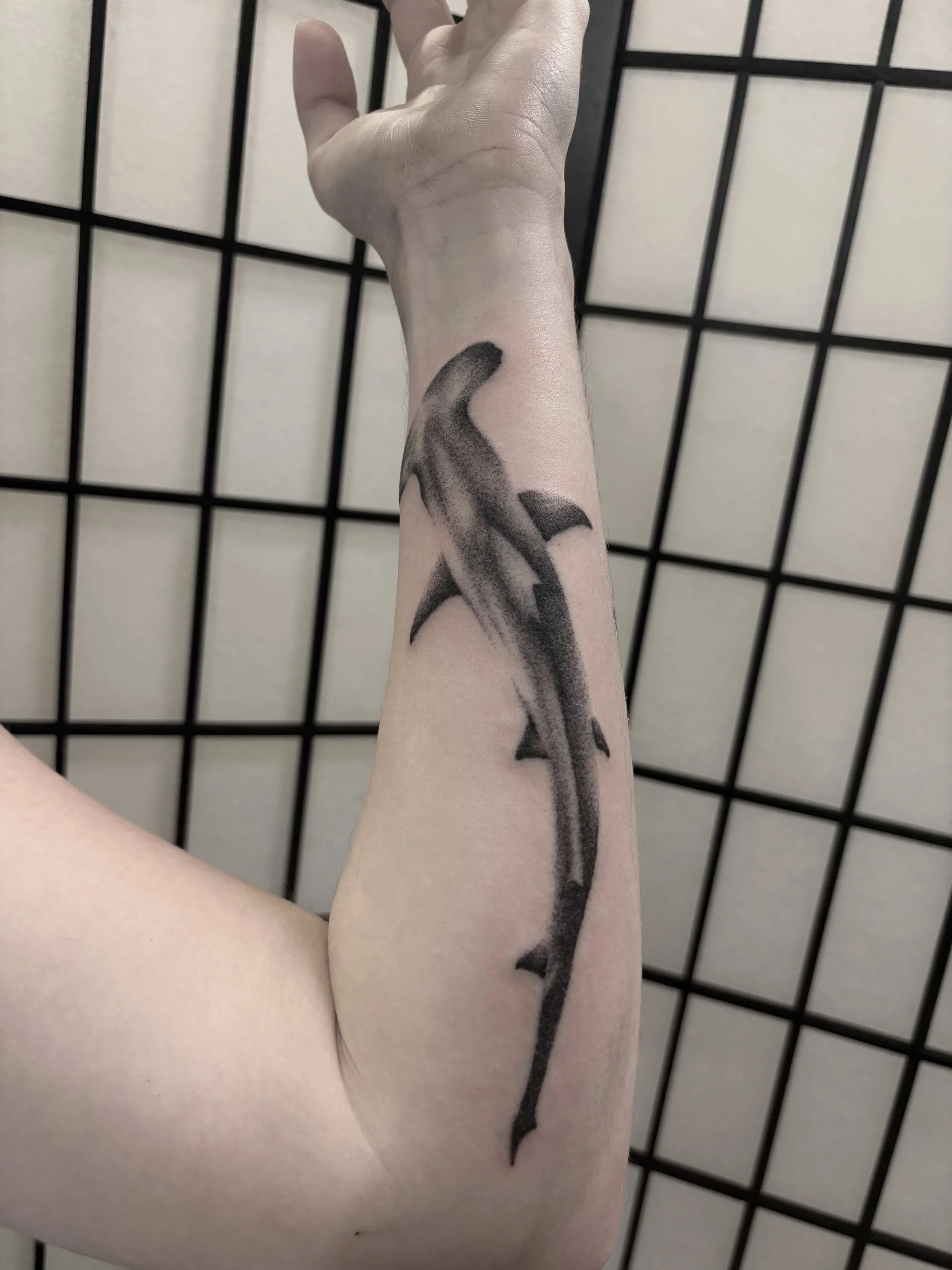 9CF5002E-25B3-4680-B435-1442A5491B2A.jpeg