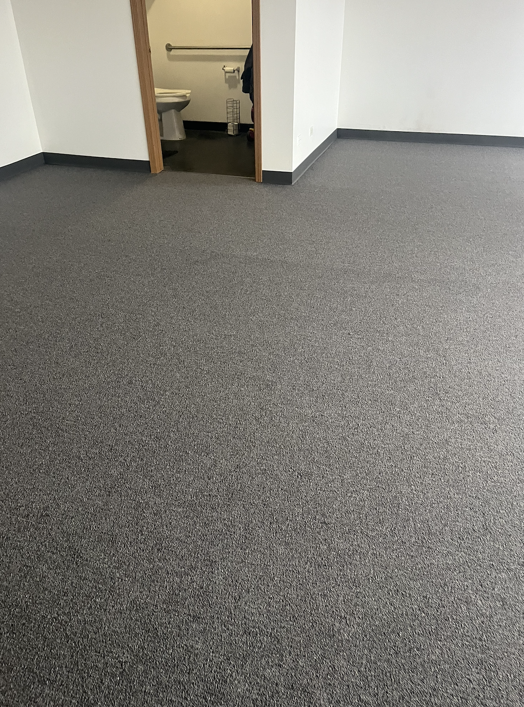 Empty room with gray carpet flooring and a doorway leading to a bathroom with a toilet, a wall-mounted grab bar, and a wire basket in the corner.