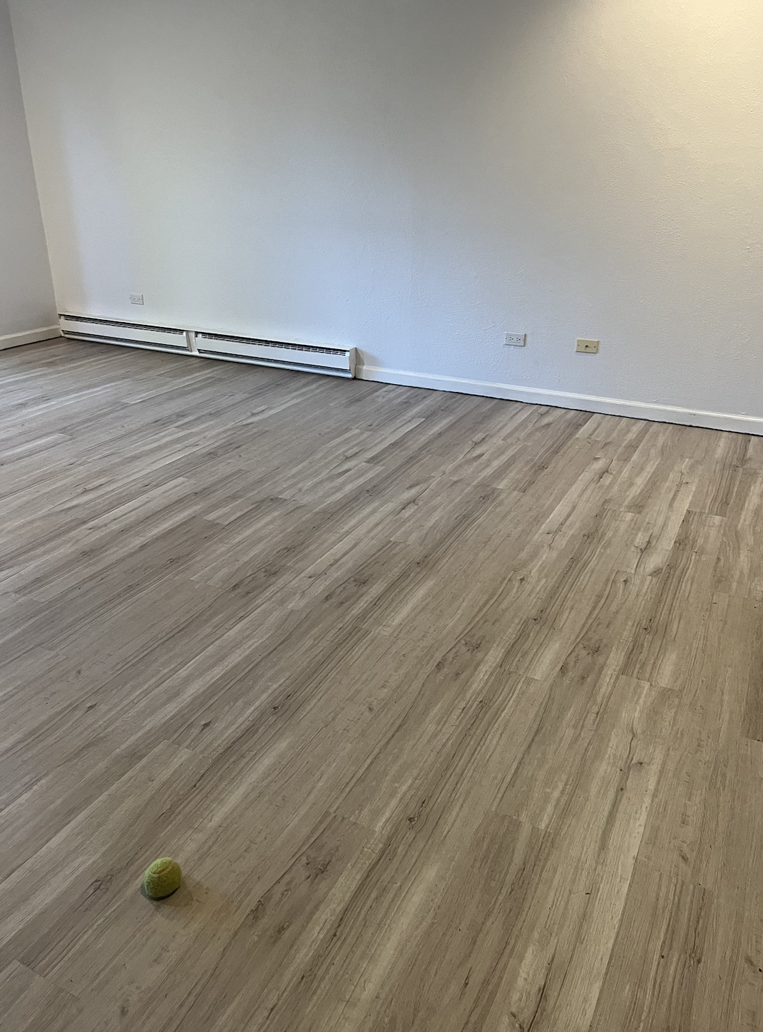 Empty room with wood flooring, white walls, baseboard heater, and electrical outlets, with a tennis ball on the floor.