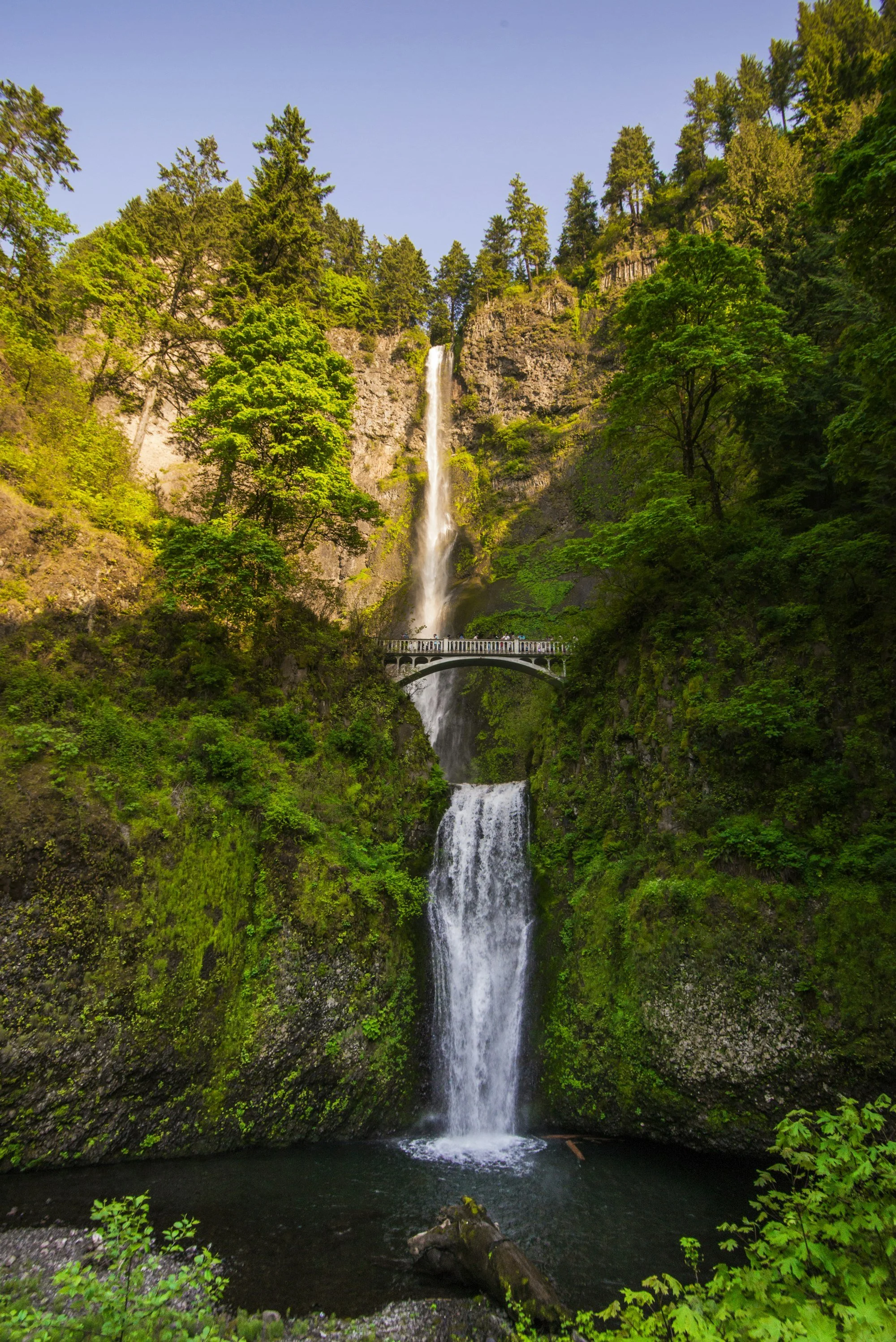 Multnomah Falls in the Columbia River Gorge, Oregon