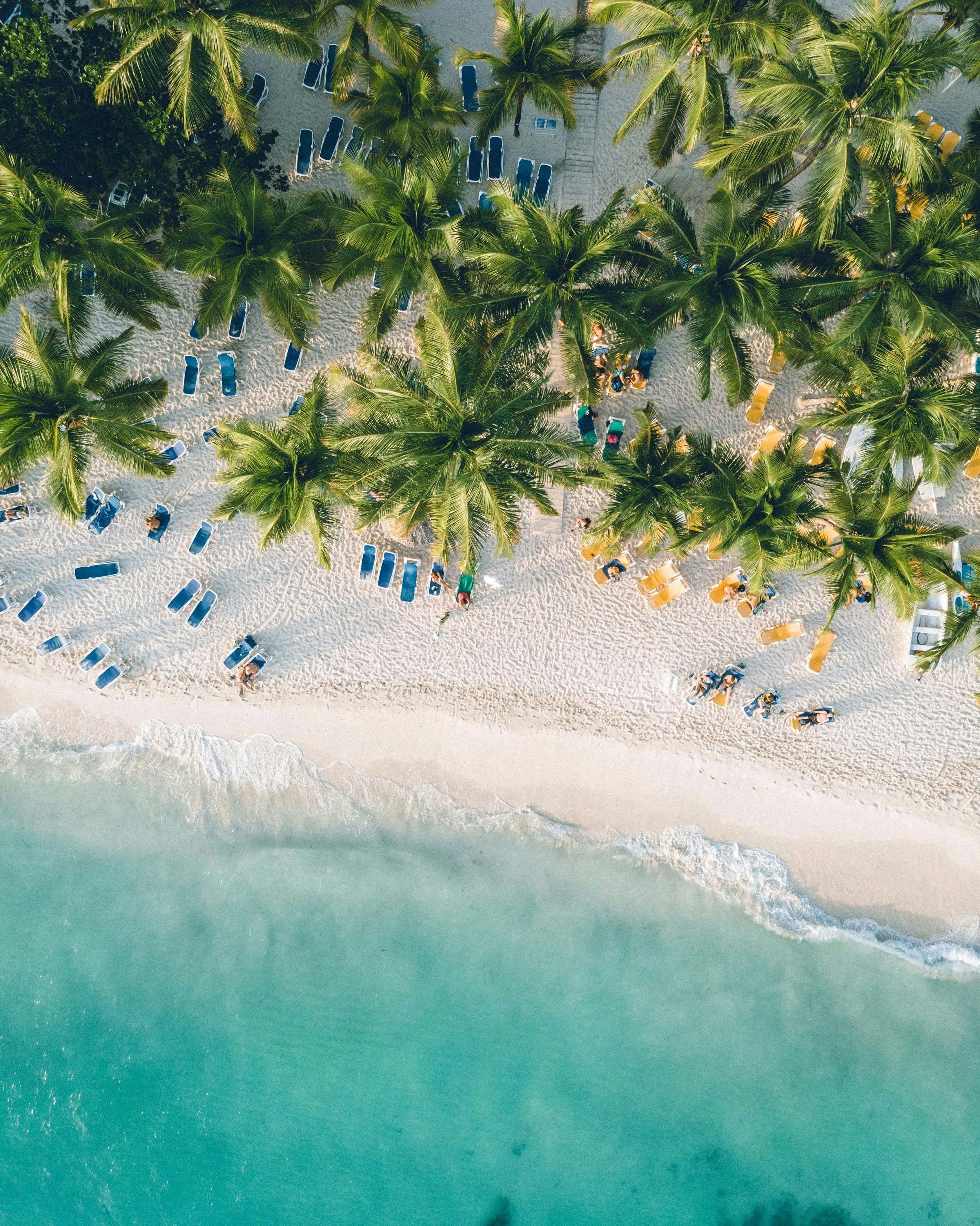 Full Travel Concierge