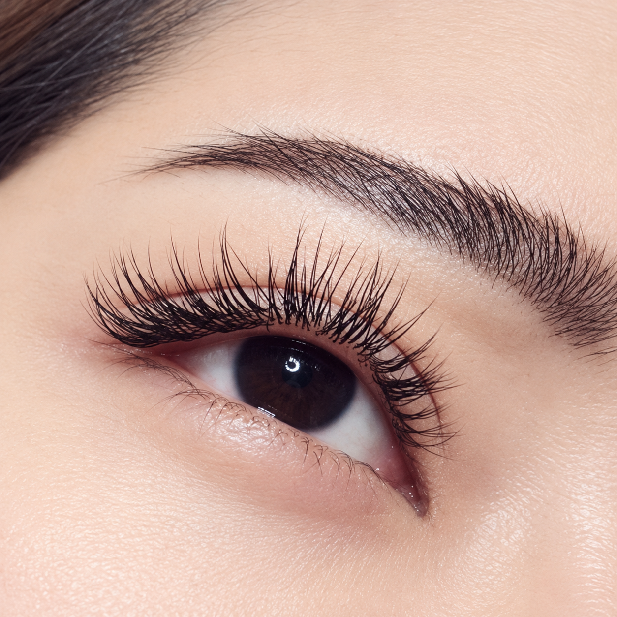 Single Strand Lash Extensions