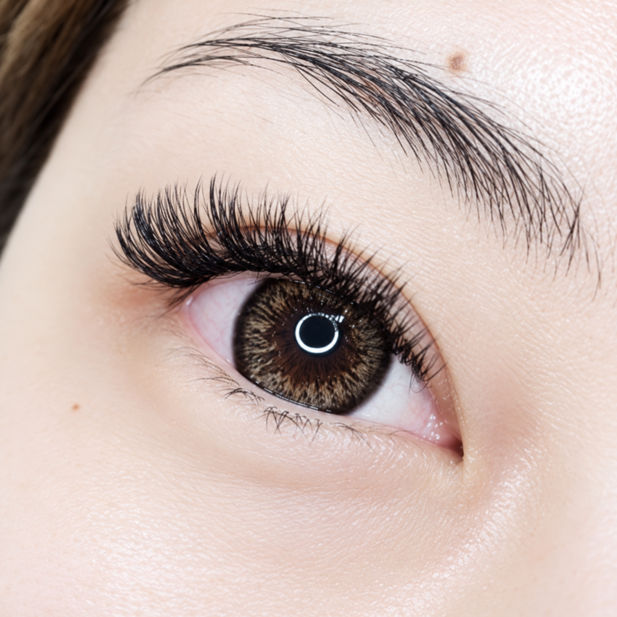 Camellia Lash Extensions