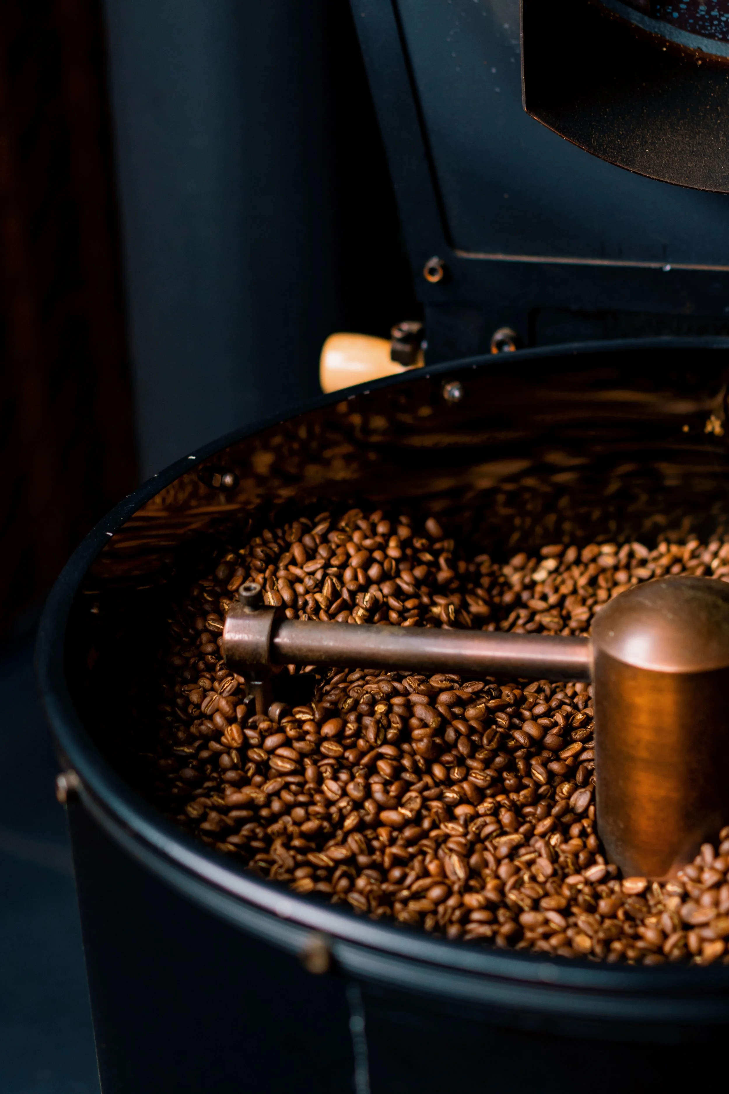 Close-up of a coffee roasting machine with roasted coffee beans inside and a metal arm stirring the beans.