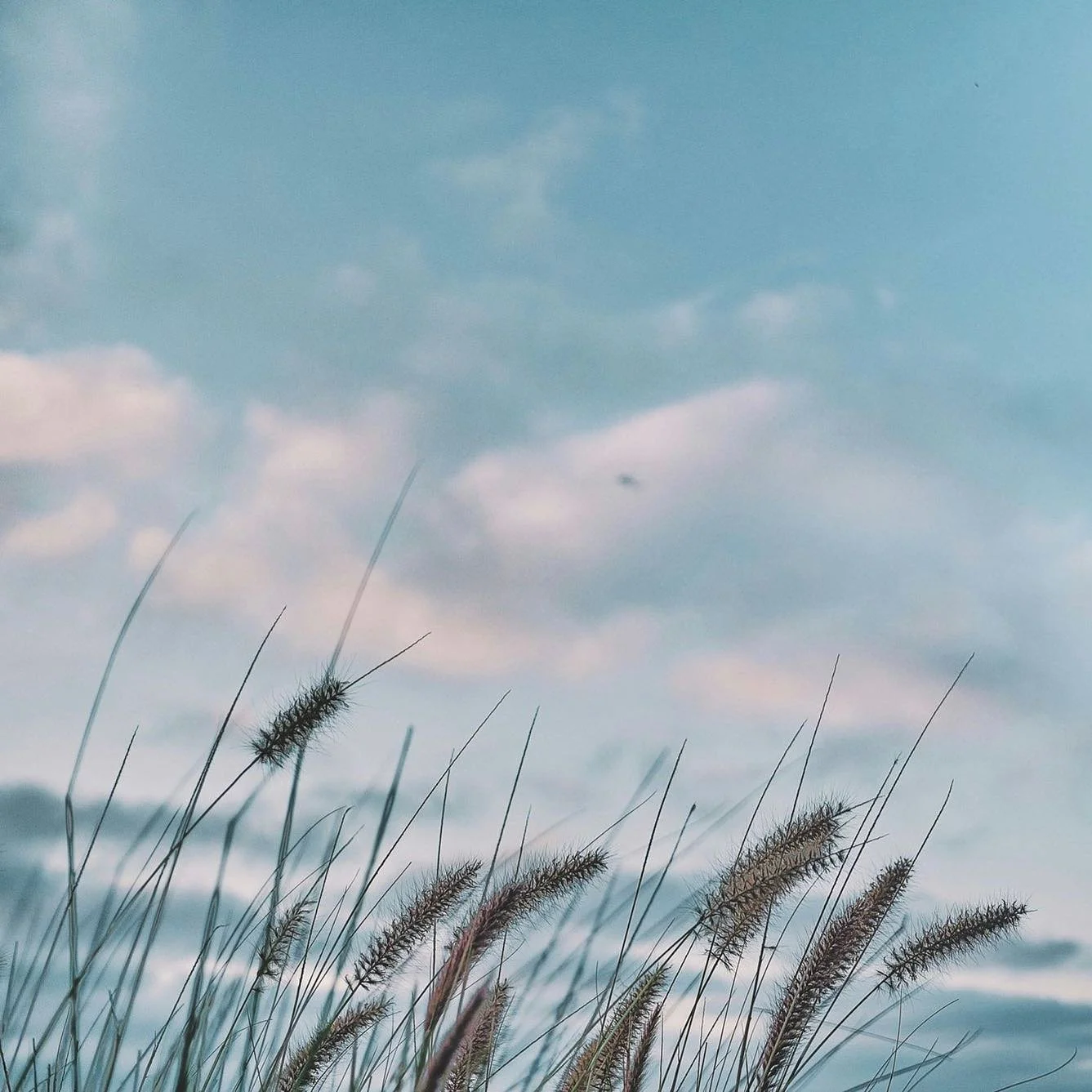 The Main Pathway

Feeling low, anxious or stressed? Counselling can help. 

Time focused on the root causes, alleviating symptoms and learning new ways of coping can lead you on the pathway to recovery, well-being, peace and contentment. 

Get in tou