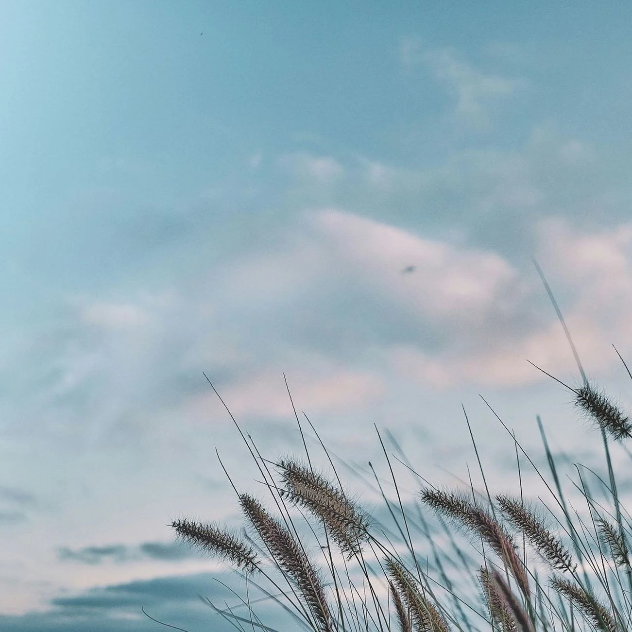 The Main Pathway

Feeling low, anxious or stressed? Counselling can help. 

Time focused on the root causes, alleviating symptoms and learning new ways of coping can lead you on the pathway to recovery, well-being, peace and contentment. 

Get in tou
