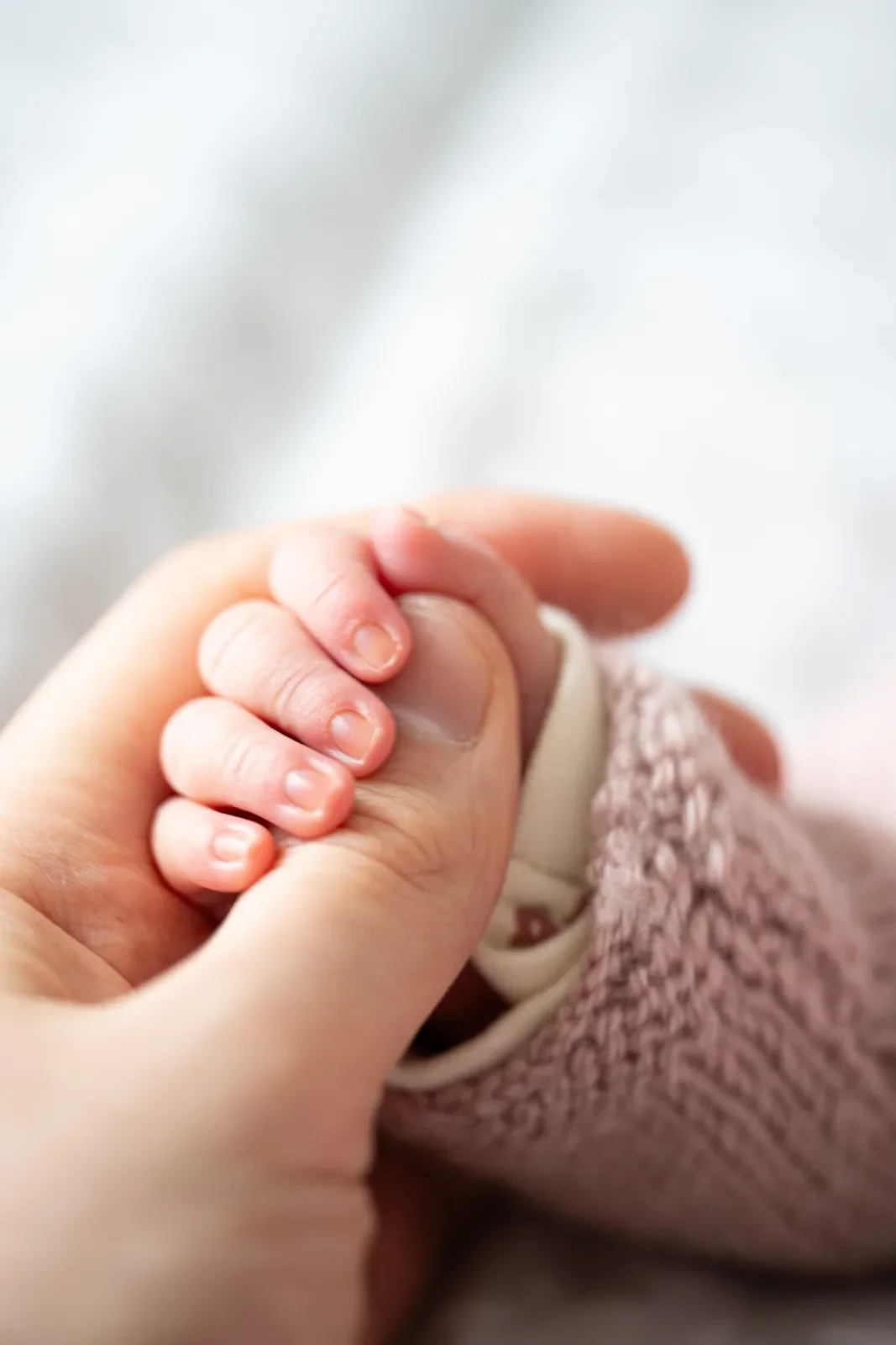 Naissance & Famille