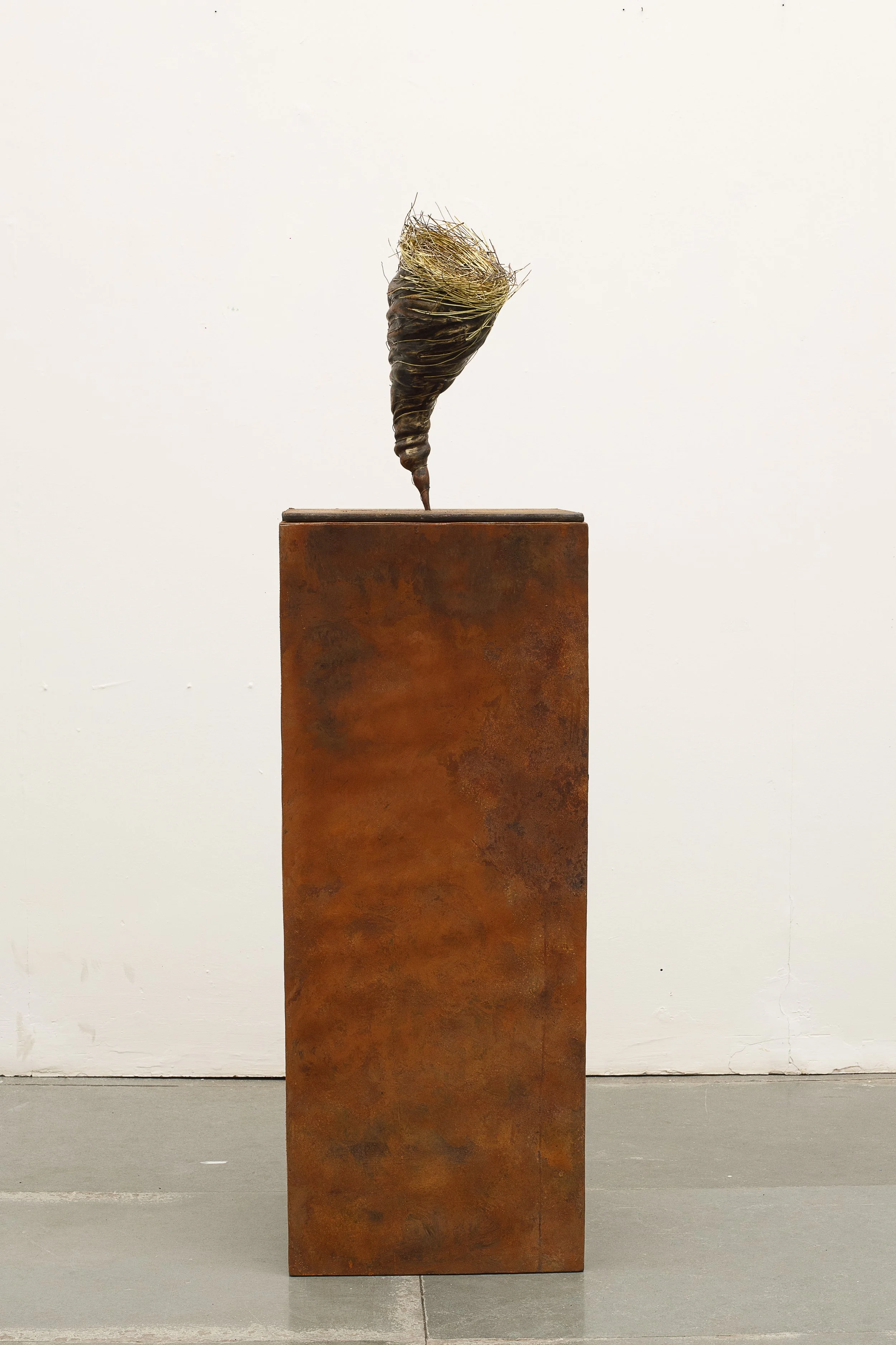 AT26013_01.jpg