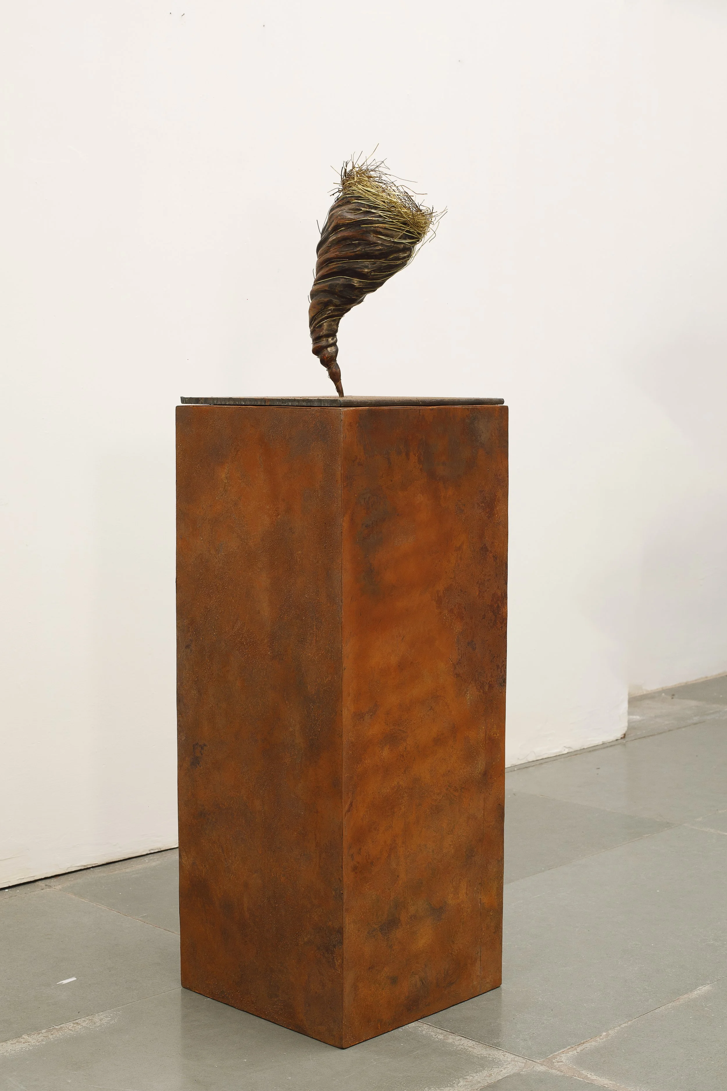 AT26013_06.jpg
