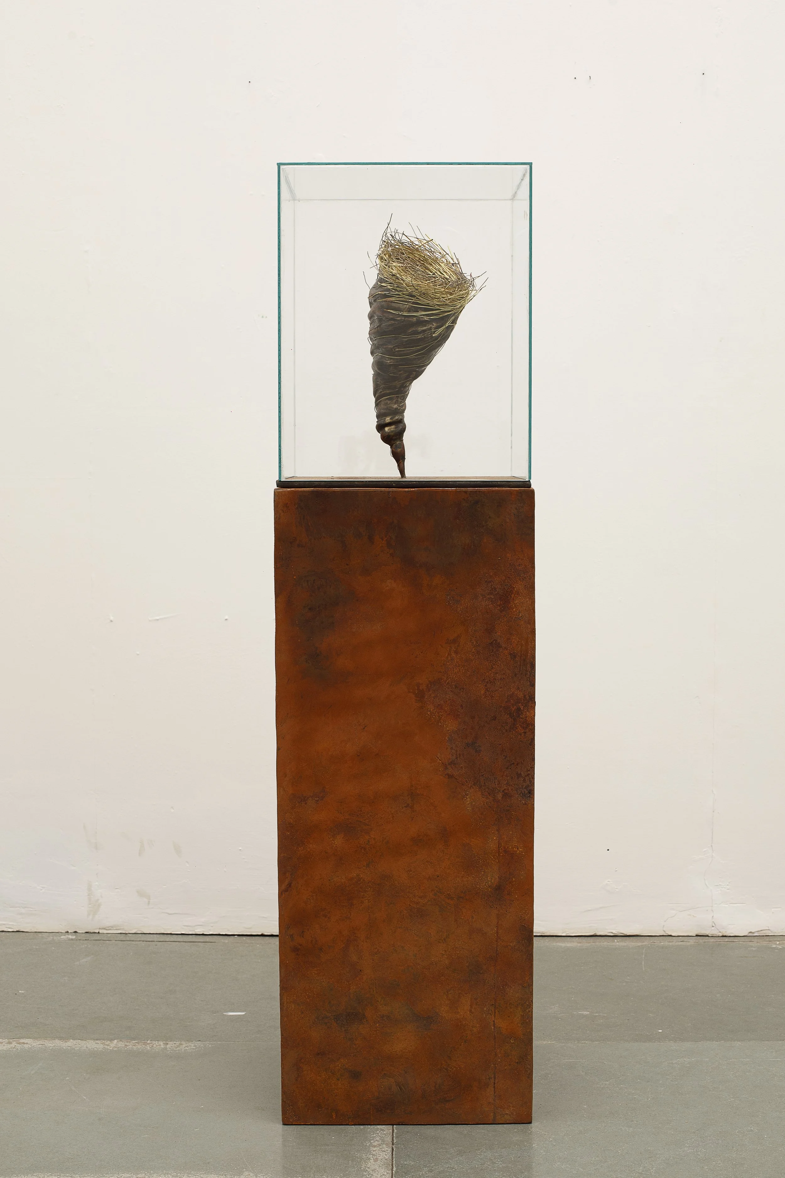 The Displacement, 2026