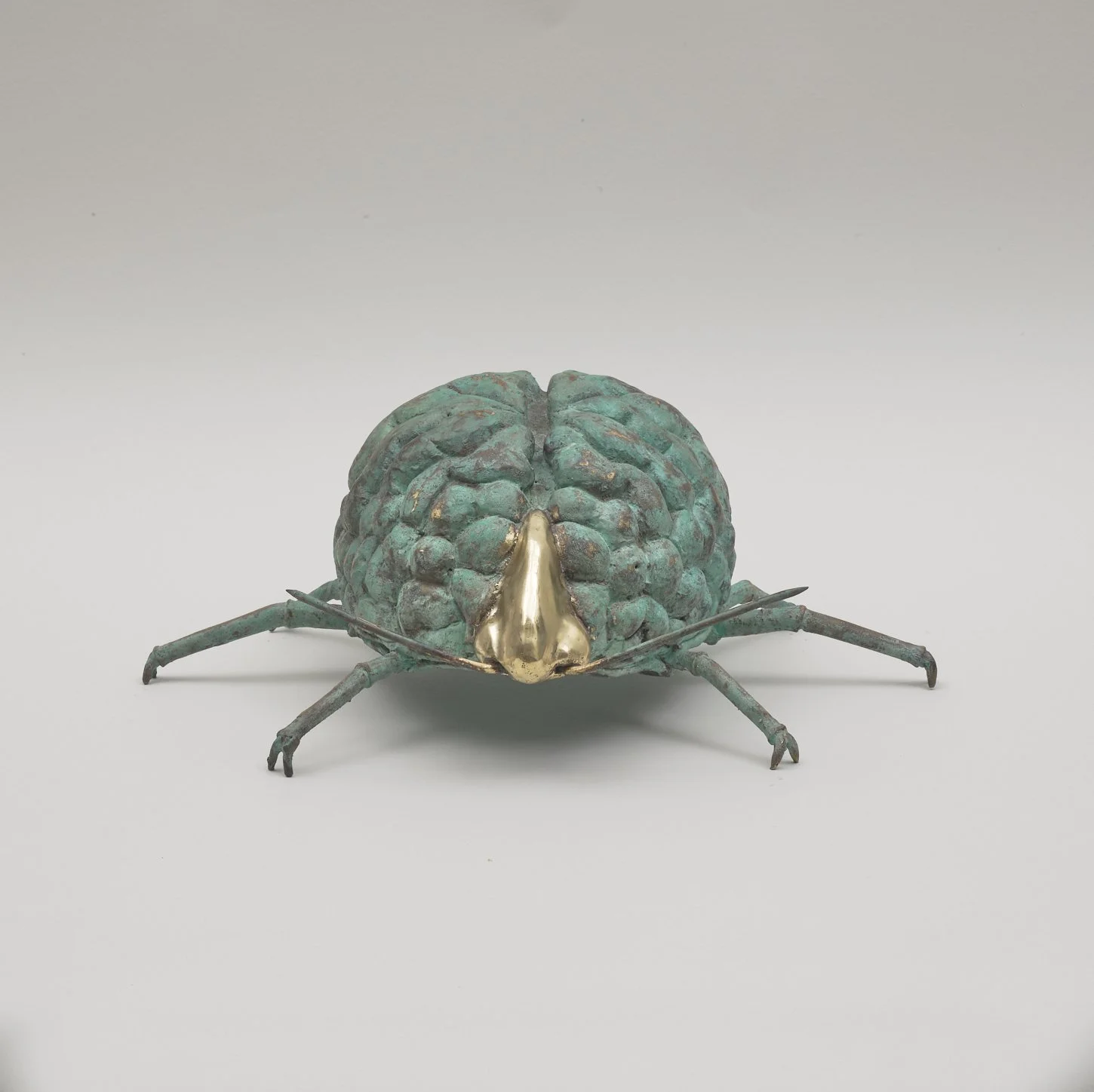 A Land Bug, 2024