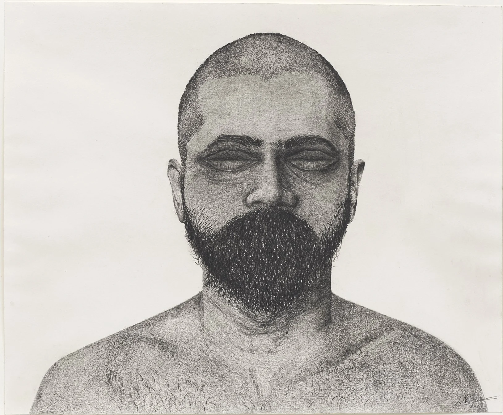 A landscape of Portrait, 2023