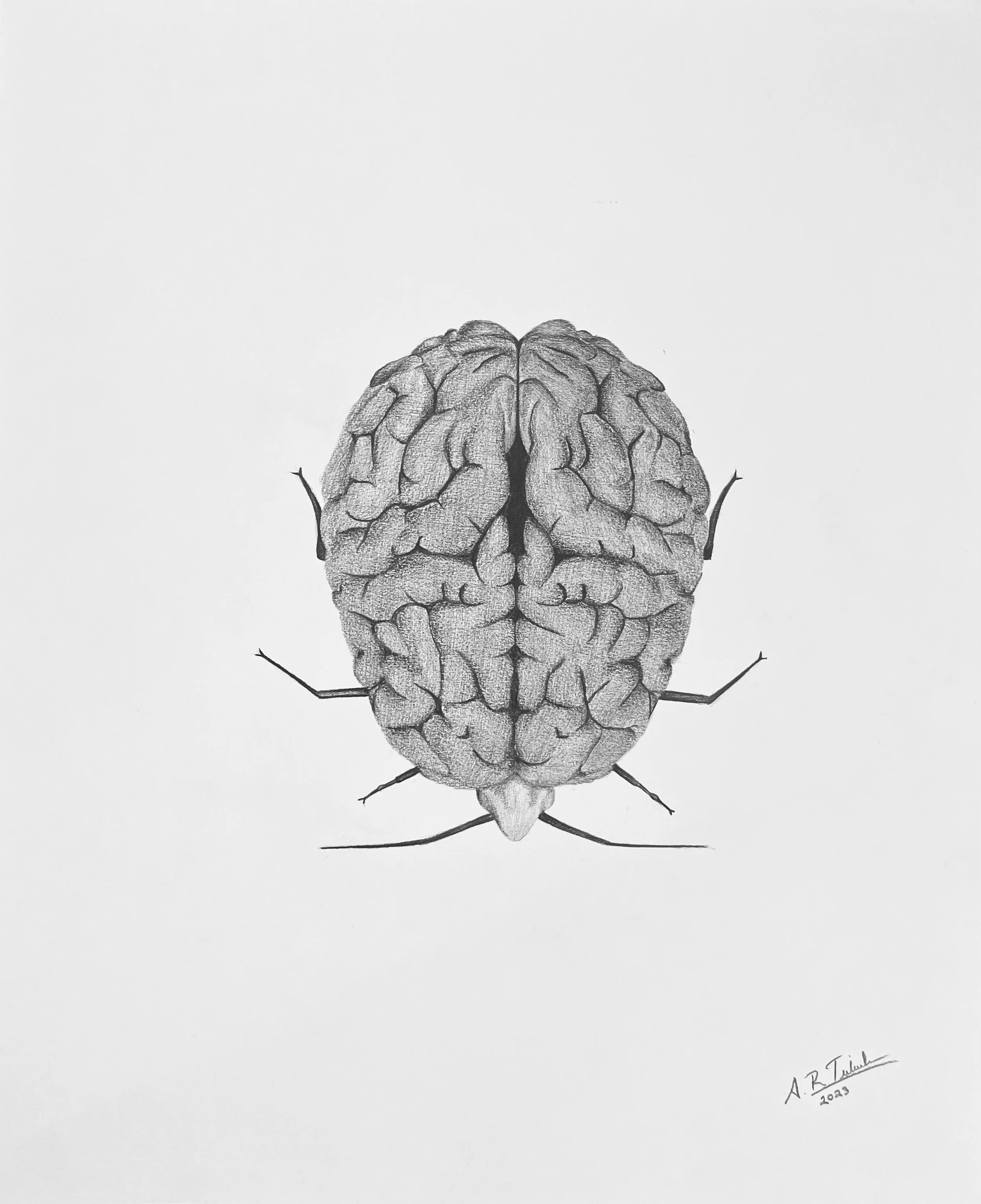 A Land Bug I, 2023