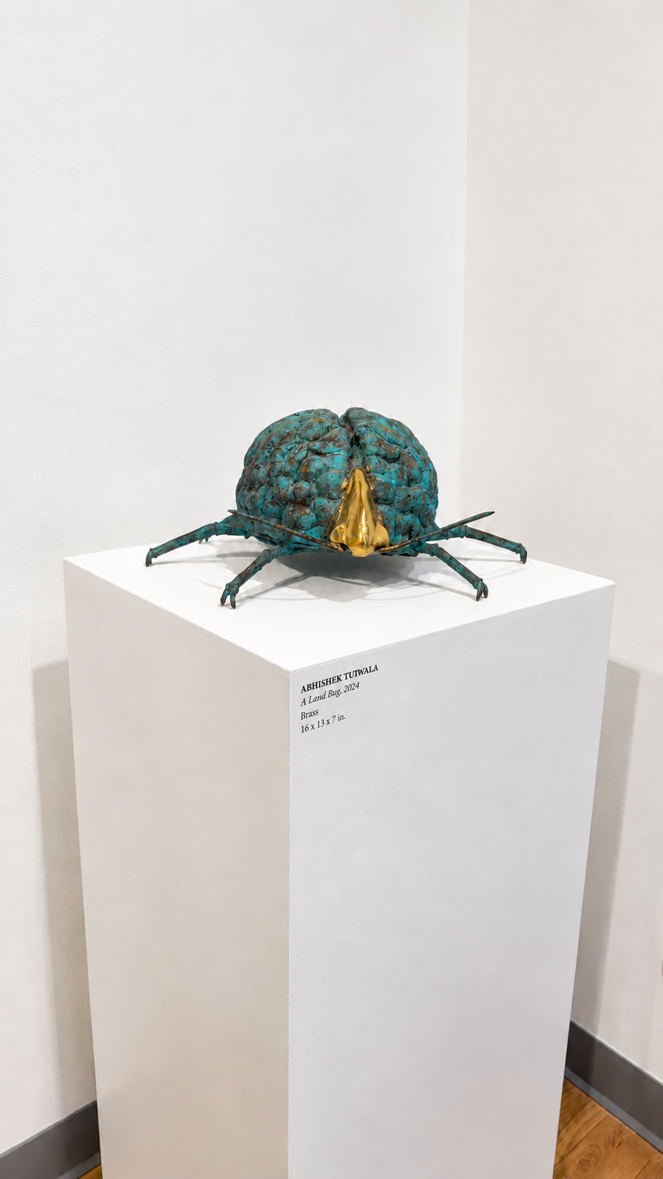 Teal and Gold Insect Sculpture Gallery.png
