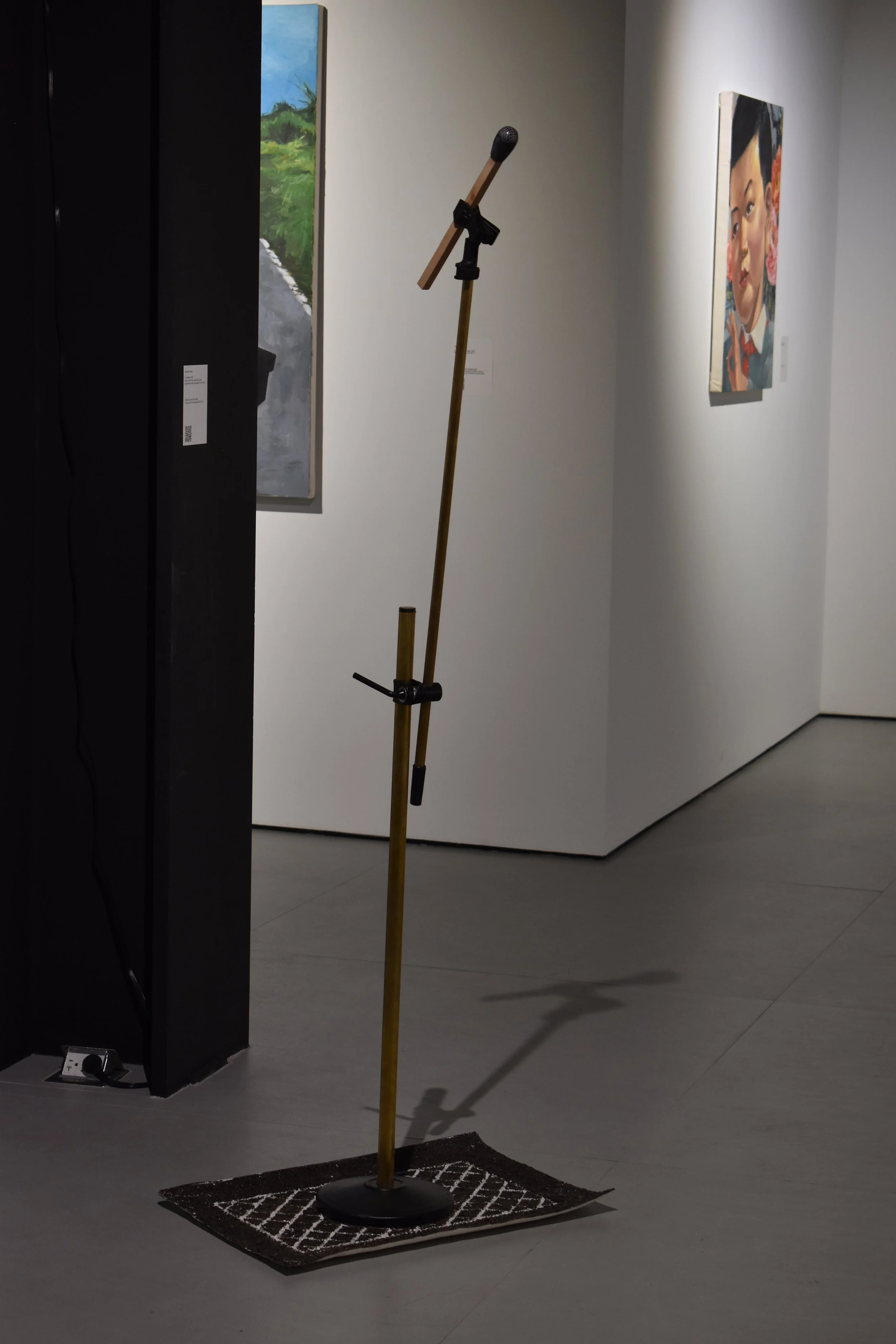 ATP25005_Install_16.JPG