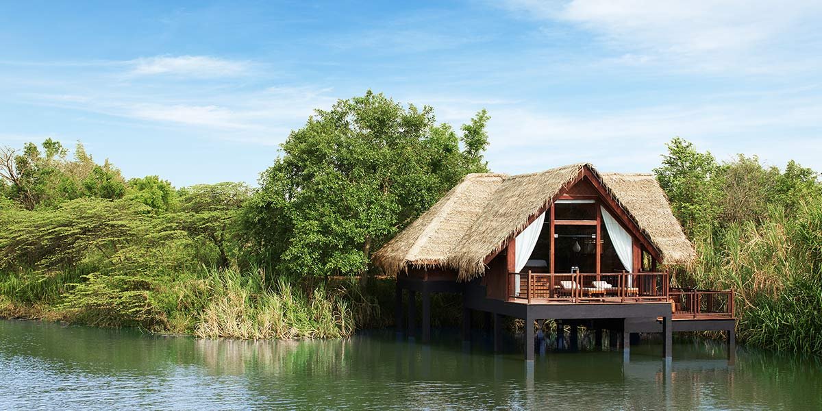 A lakeside cabin with a thatched roof, large windows, and a wooden deck surrounded by green trees and tall grasses.