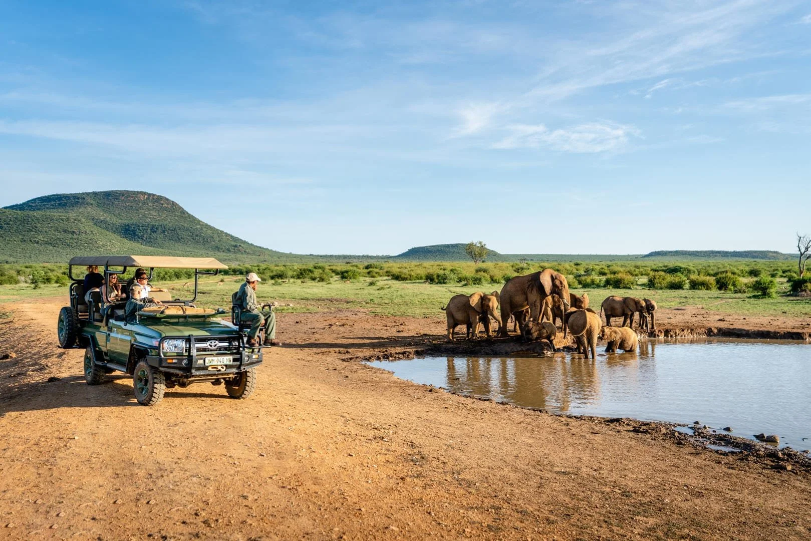 South Africa Safari