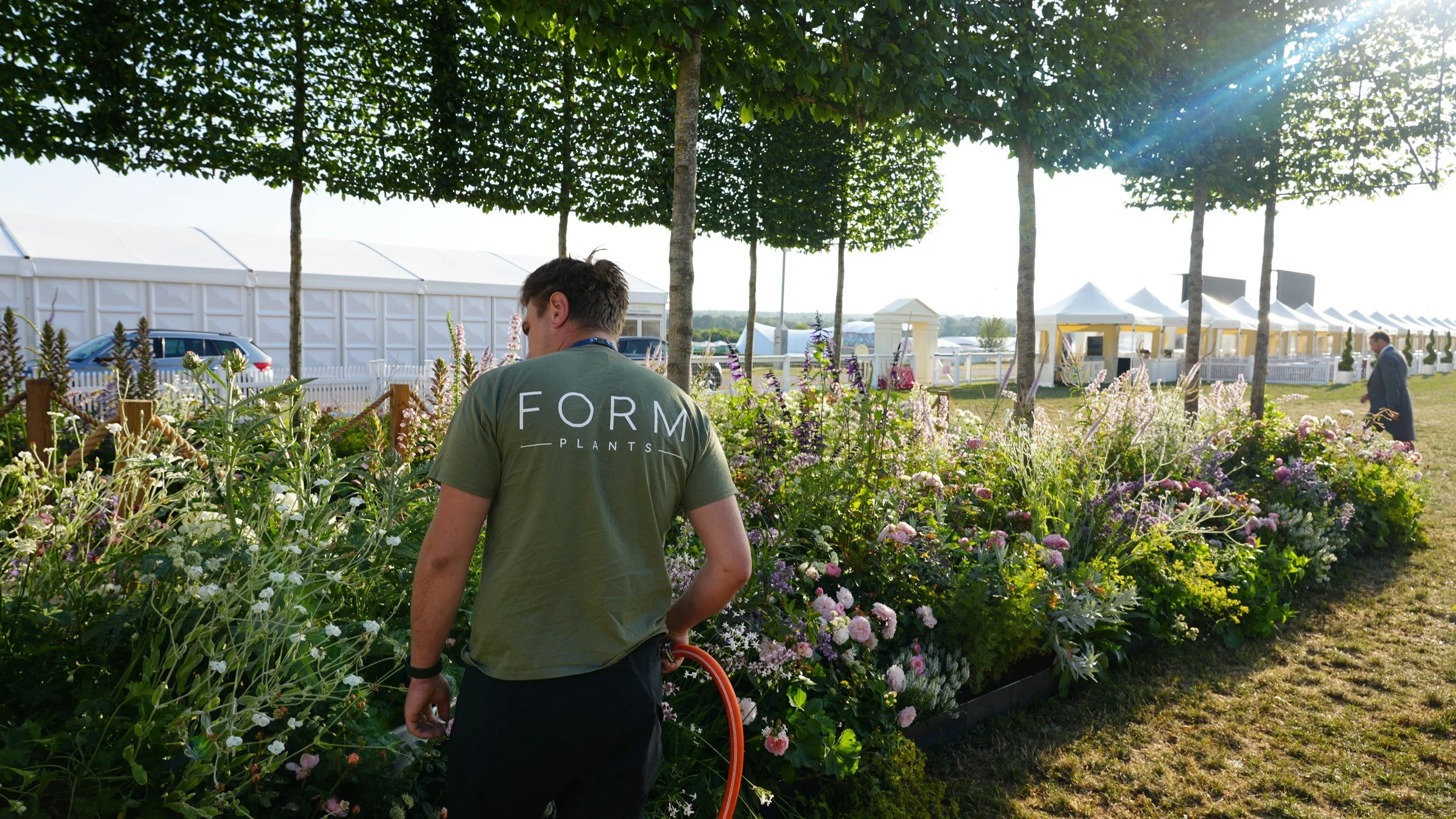 Form Plants team member hand-watering a planted border beneath pleached trees at a show garden