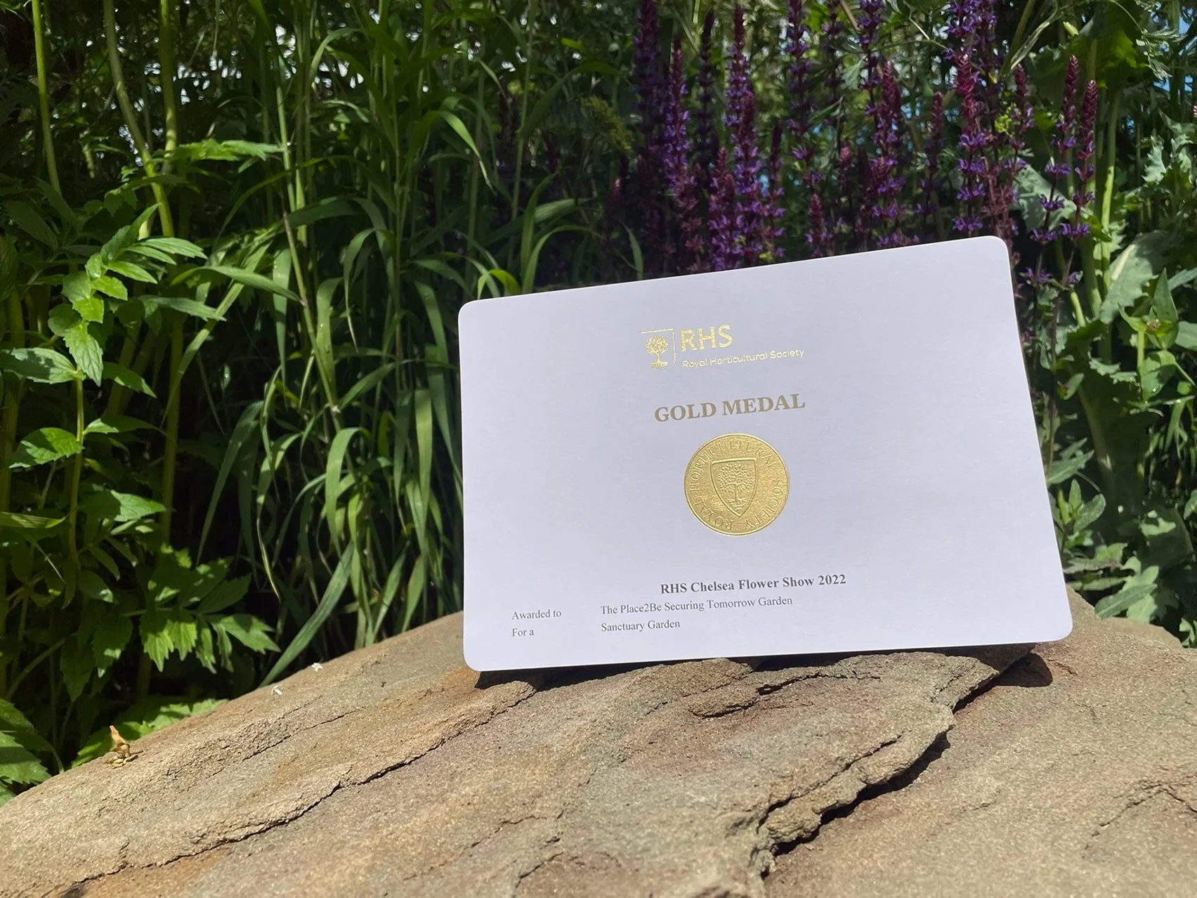 Show garden planting by Form Plants
