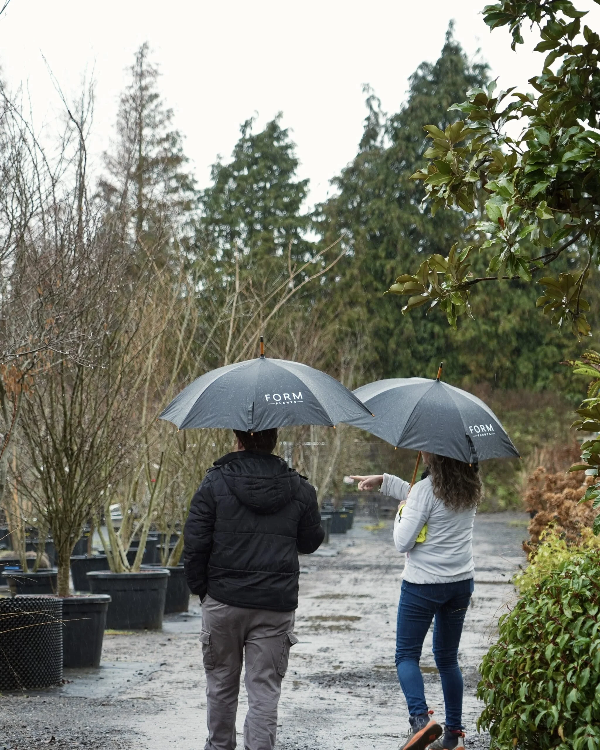 Choosing plants together with clients at the nursery