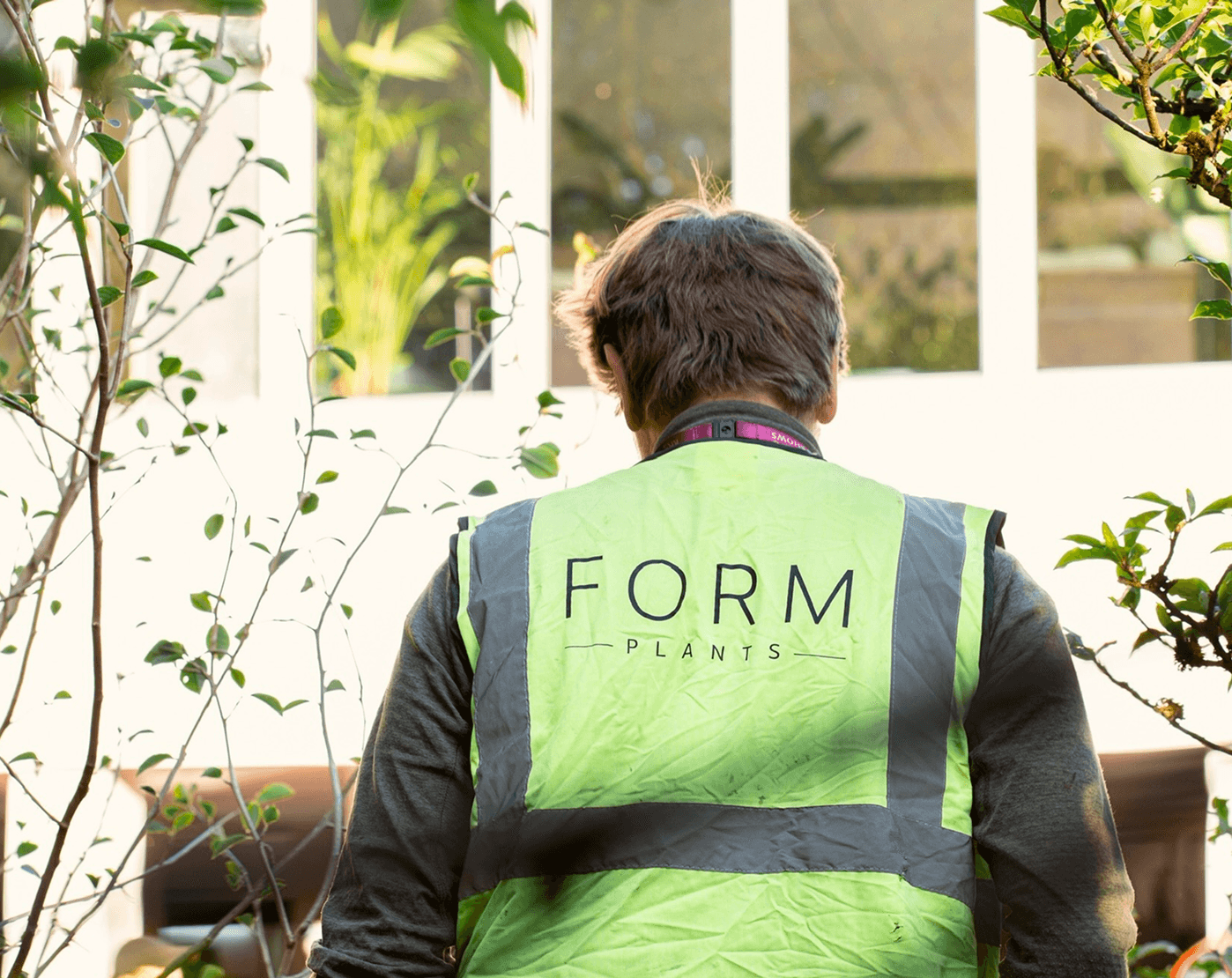 Form Plants nursery, Surrey