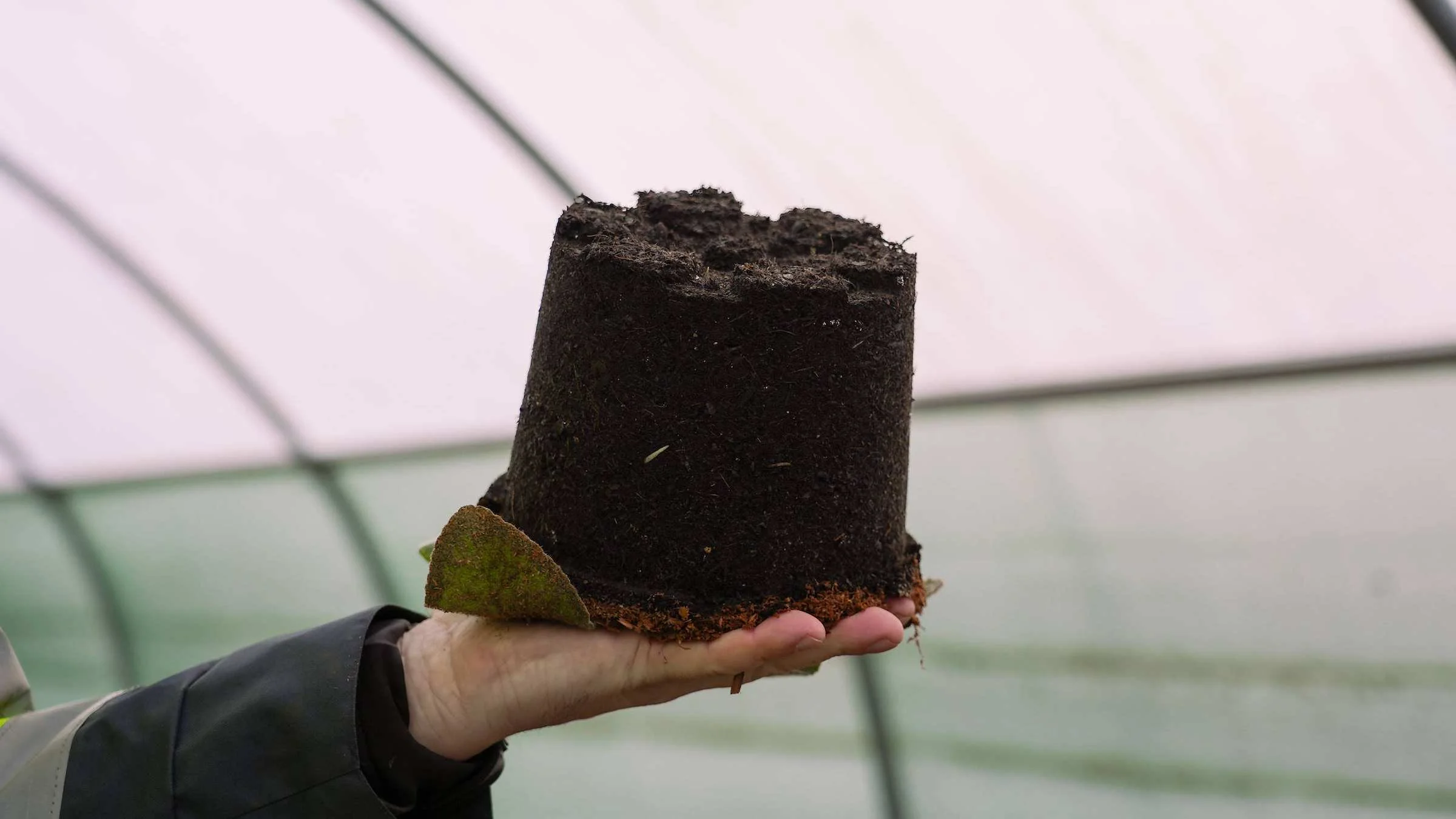 Why we are propagating more of our own plants