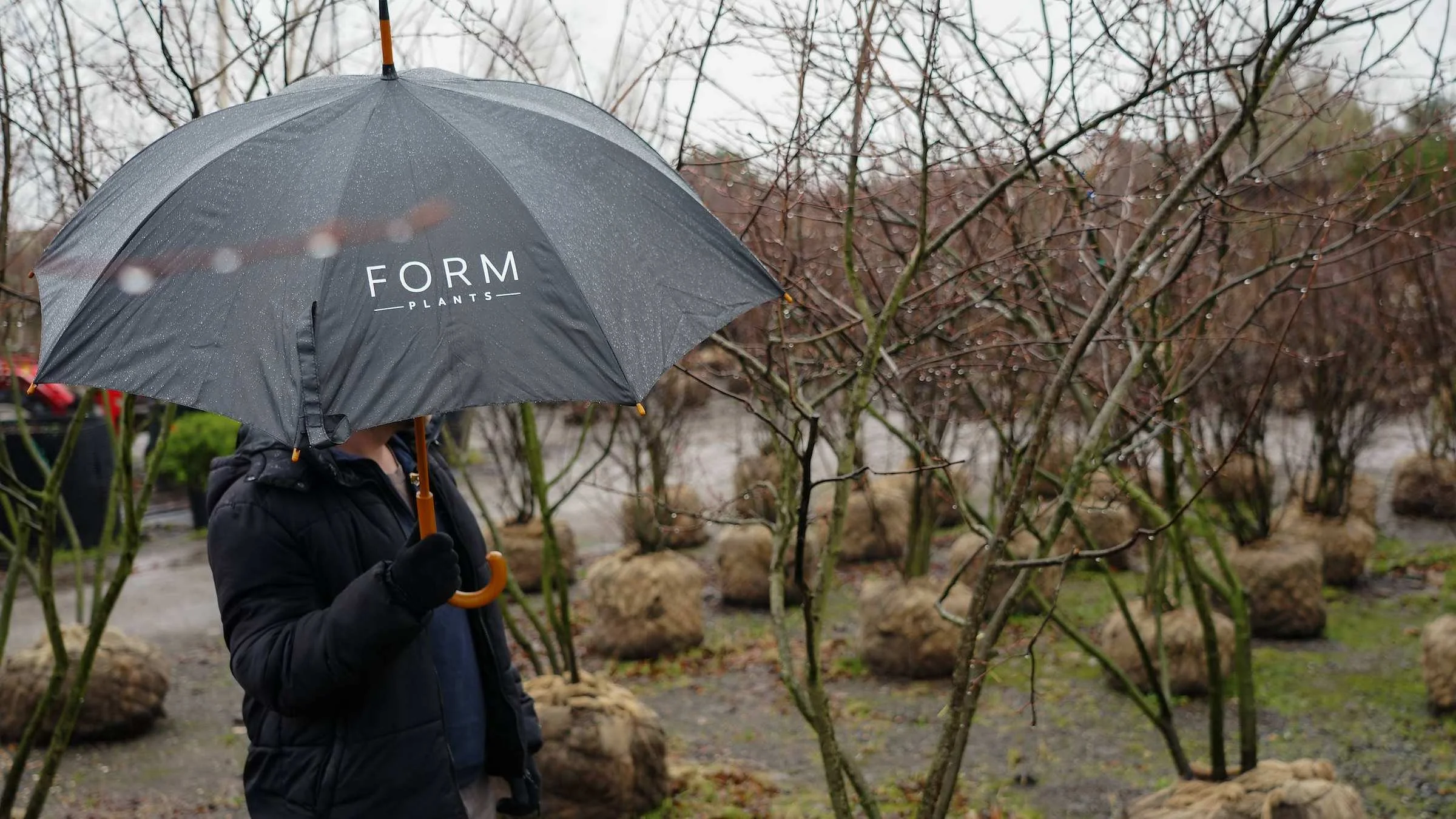 Why you should choose your tree in person (and what our demo garden is for)