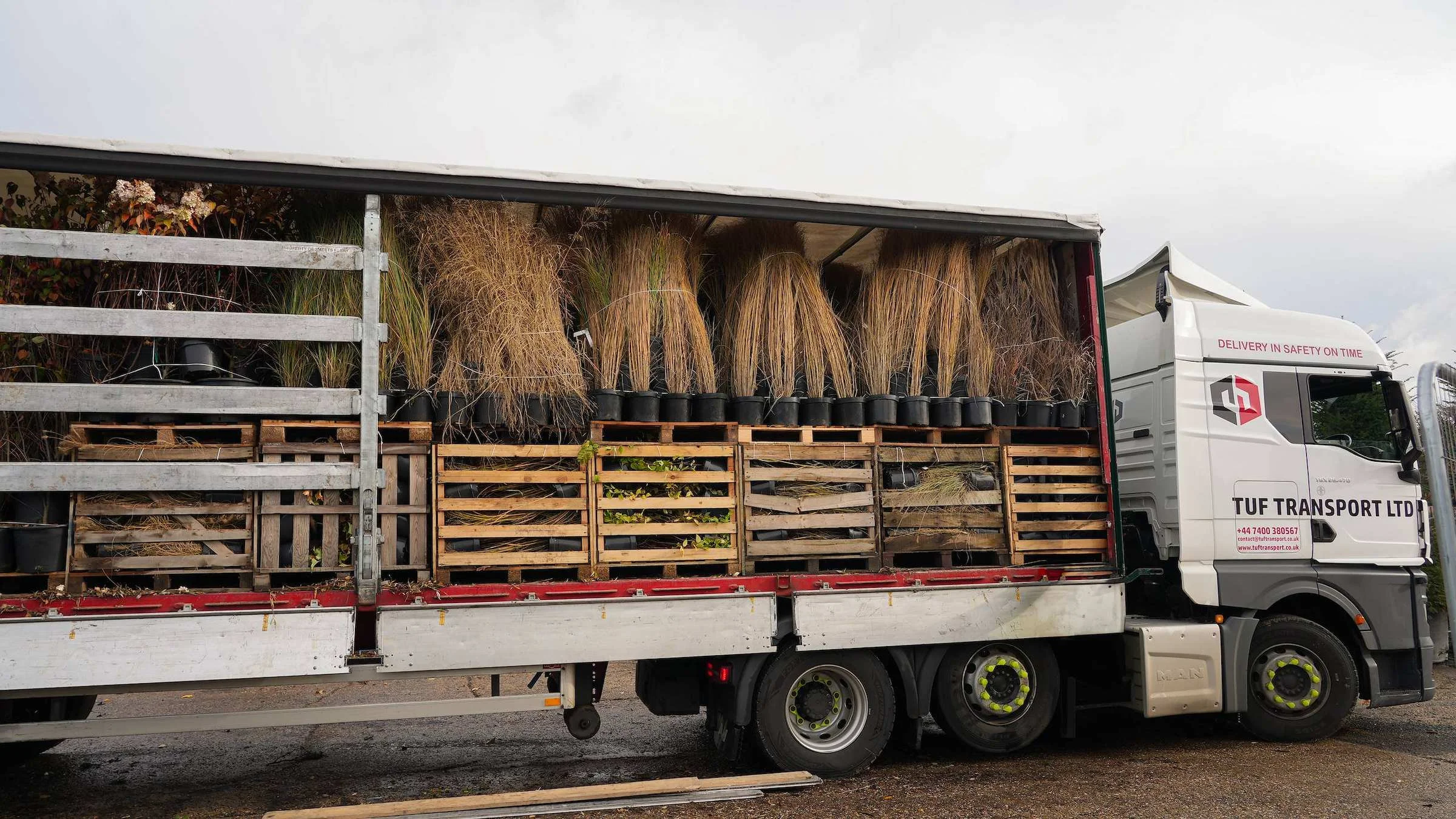 Logistical support for trade projects