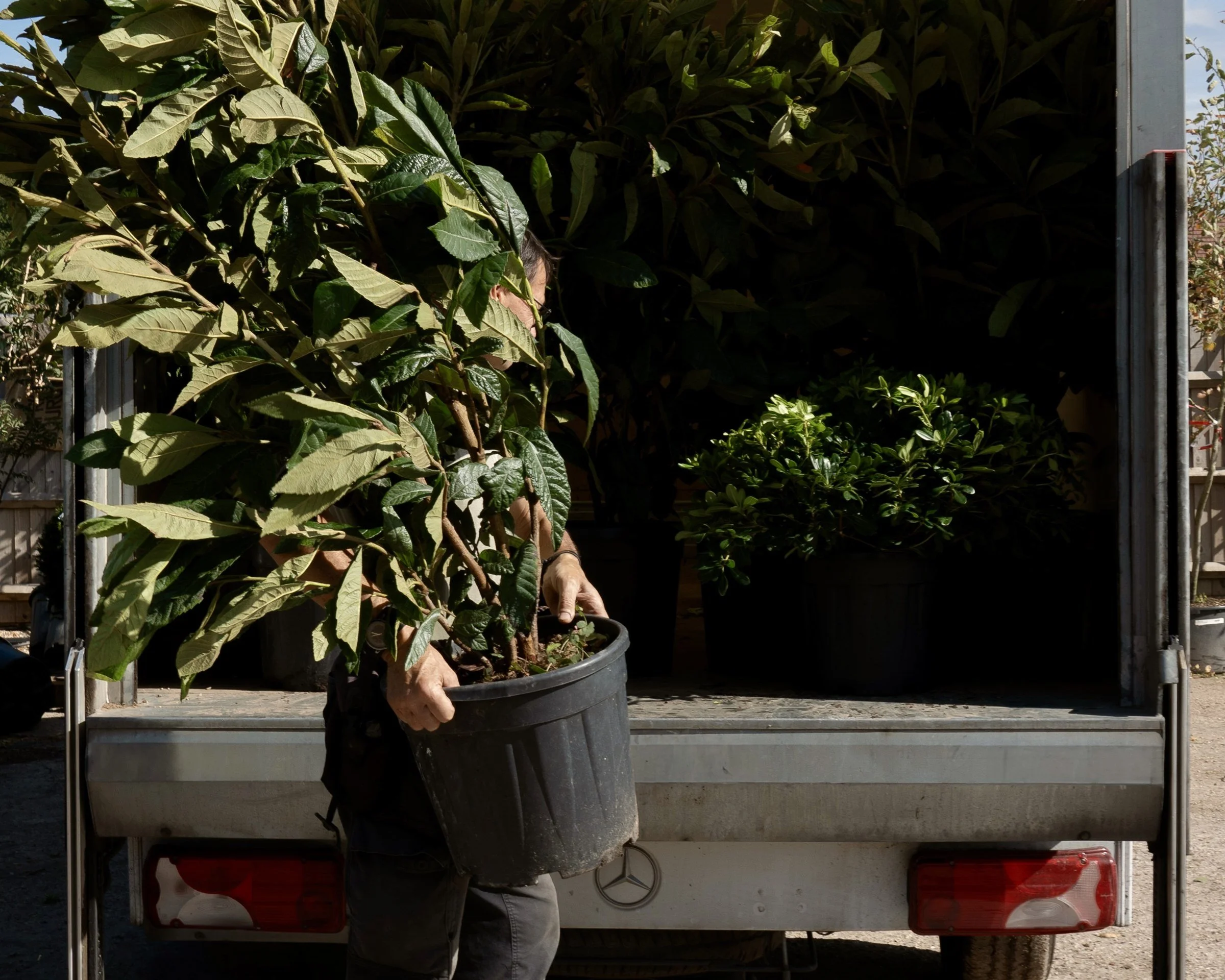 How to prepare for your plant delivery