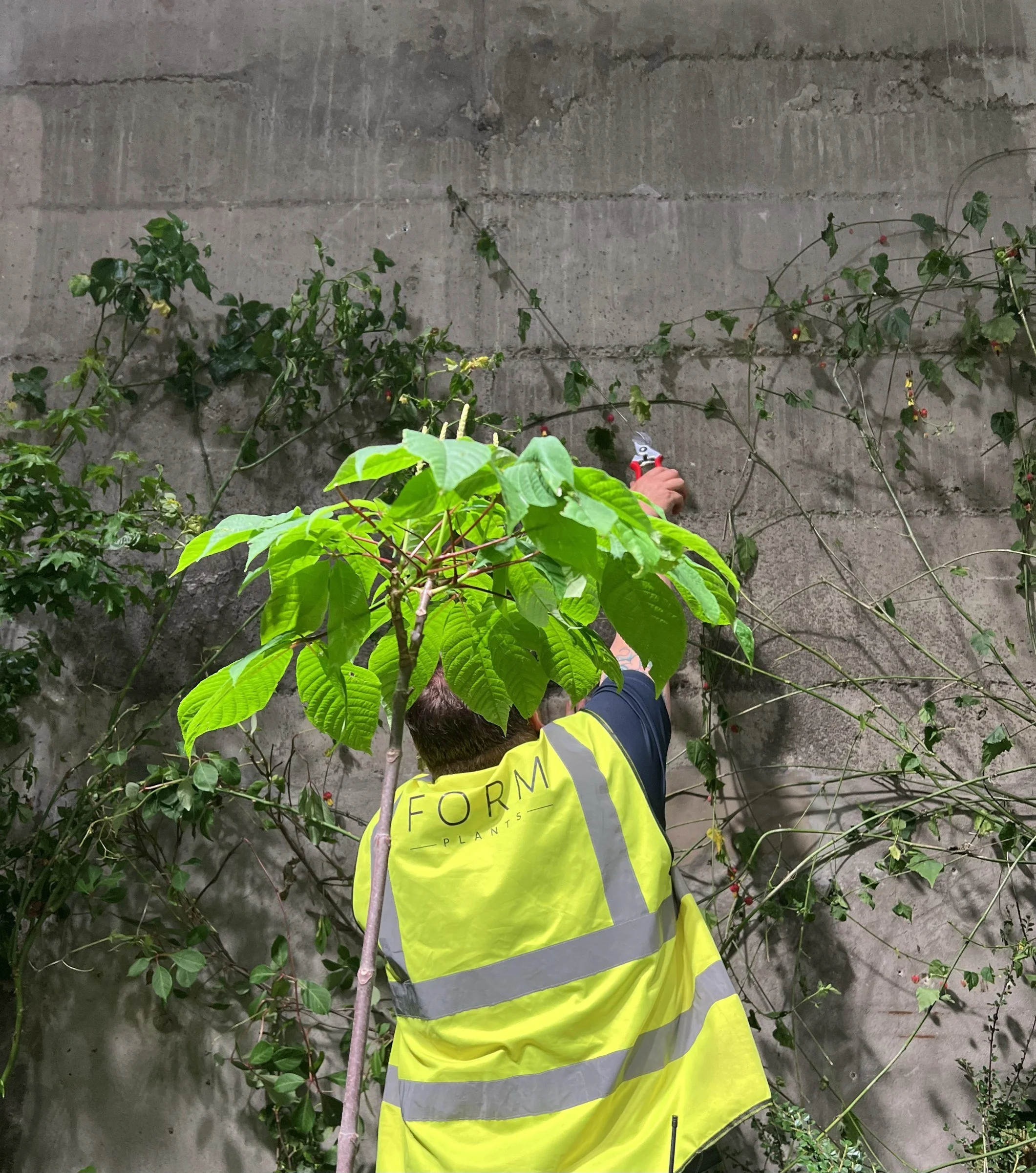 Why it pays to partner with a garden designer and a professional planting team