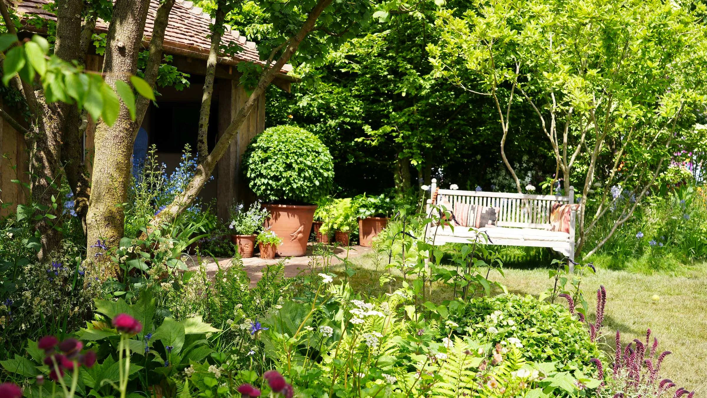 The RHS Dog Garden at the RHS Chelsea Flower Show 2025, with a timber shelter, clipped topiary and a garden bench