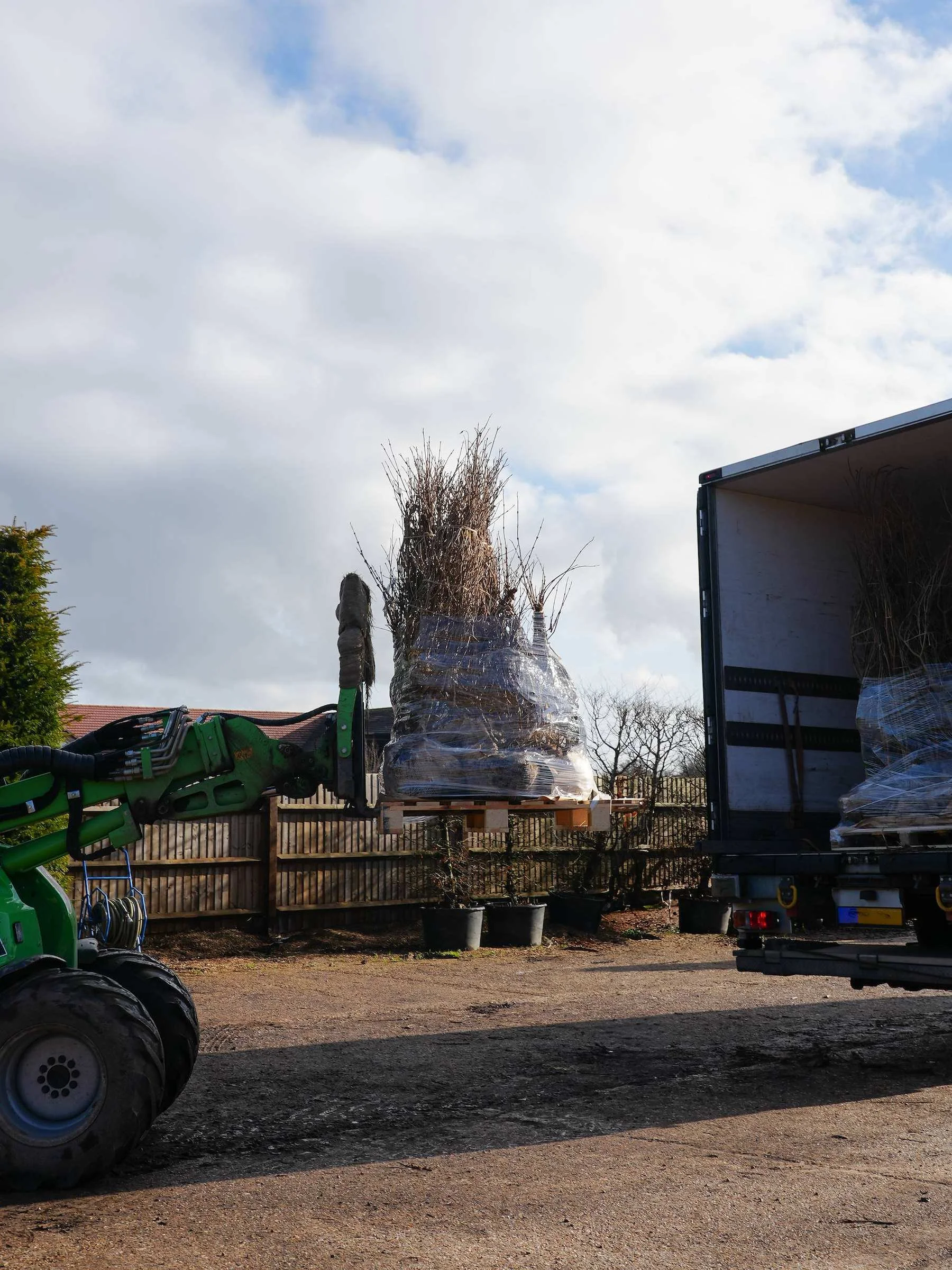 Plants loaded onto a lorry ready for dispatch from the Form Plants nursery