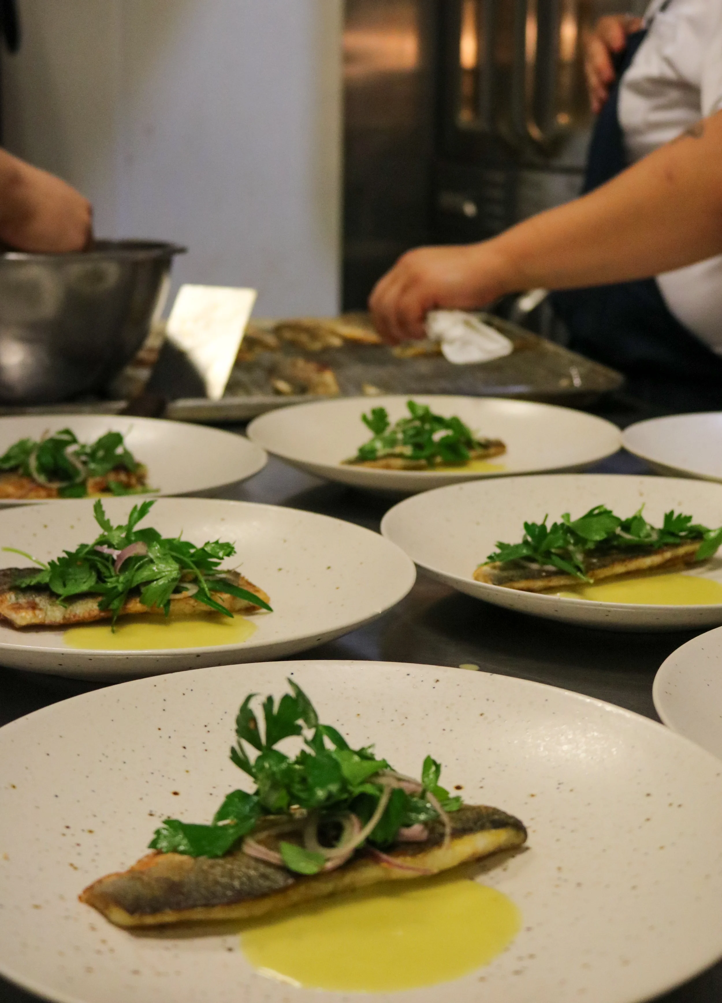 Close-up of plated fish dish garnished with greens and served with a yellow sauce, with several other similar plates in the background.