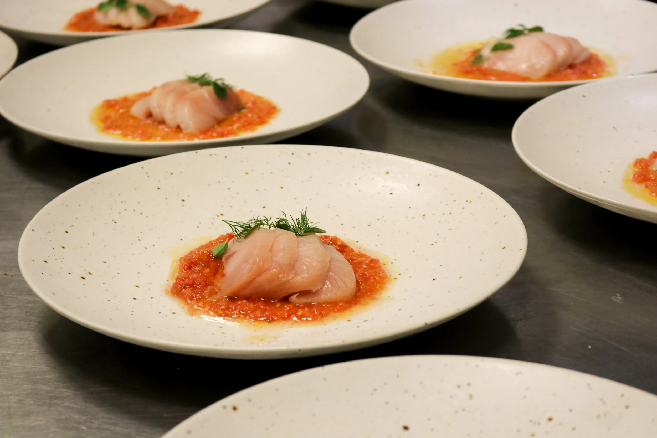 Close-up of several white plates with gourmet starters featuring raw fish fillets on a bed of red sauce and garnished with herbs, arranged on a stainless steel counter.