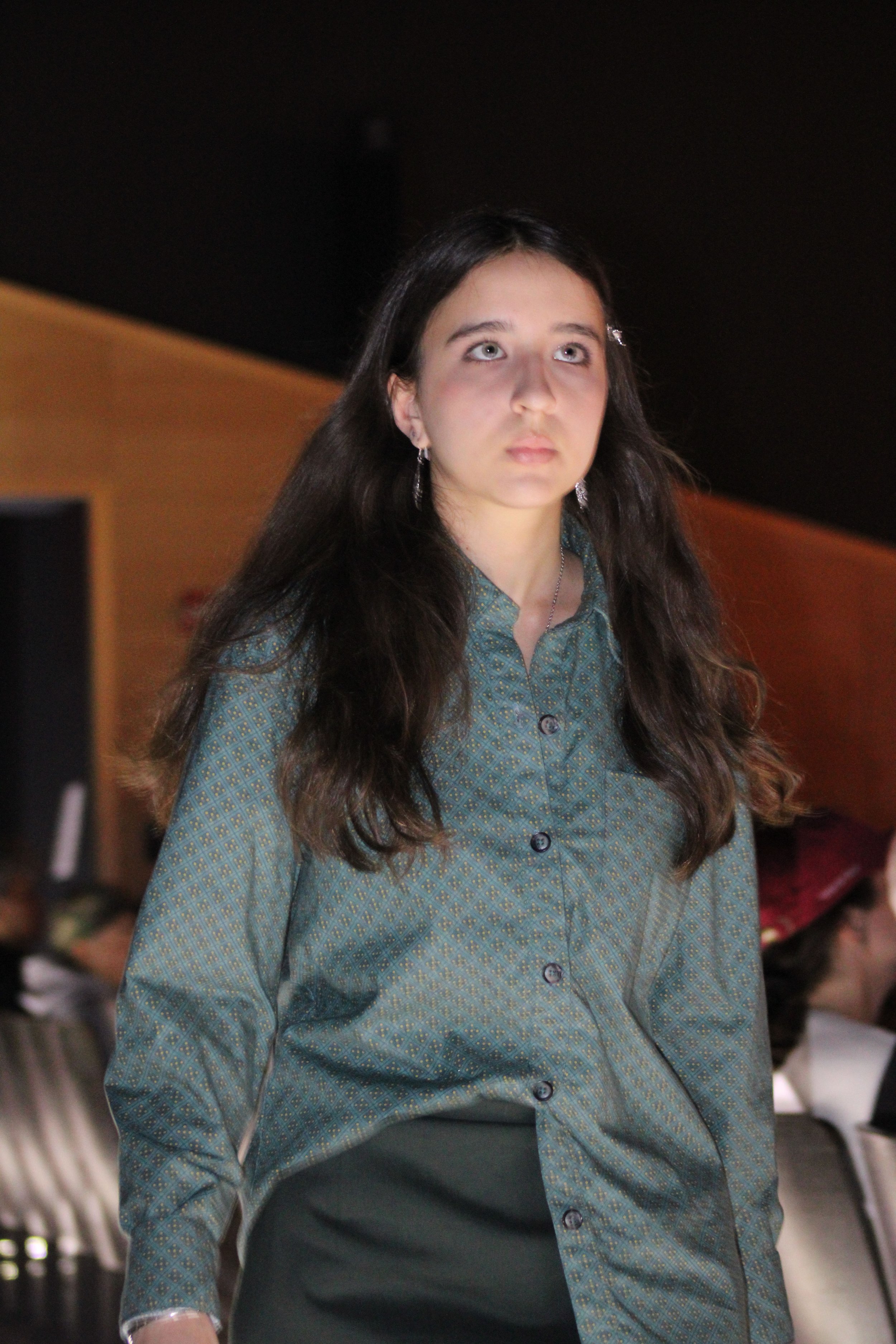 Button-Up Shirt and Skirt