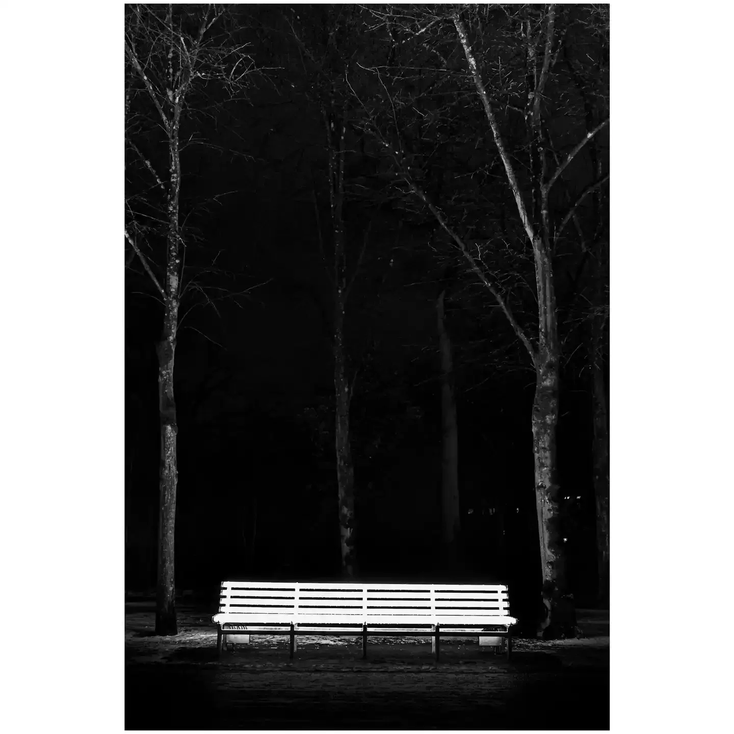 Light bench 