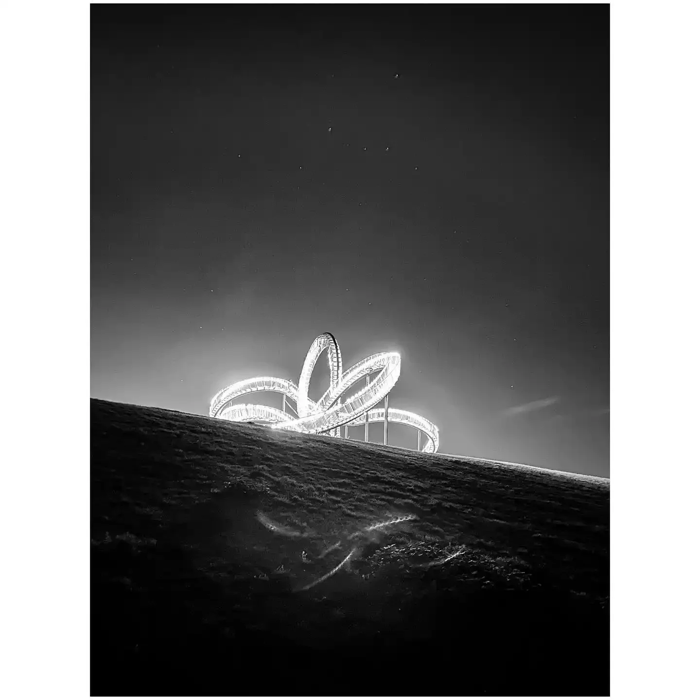 Tiger and Turtle 